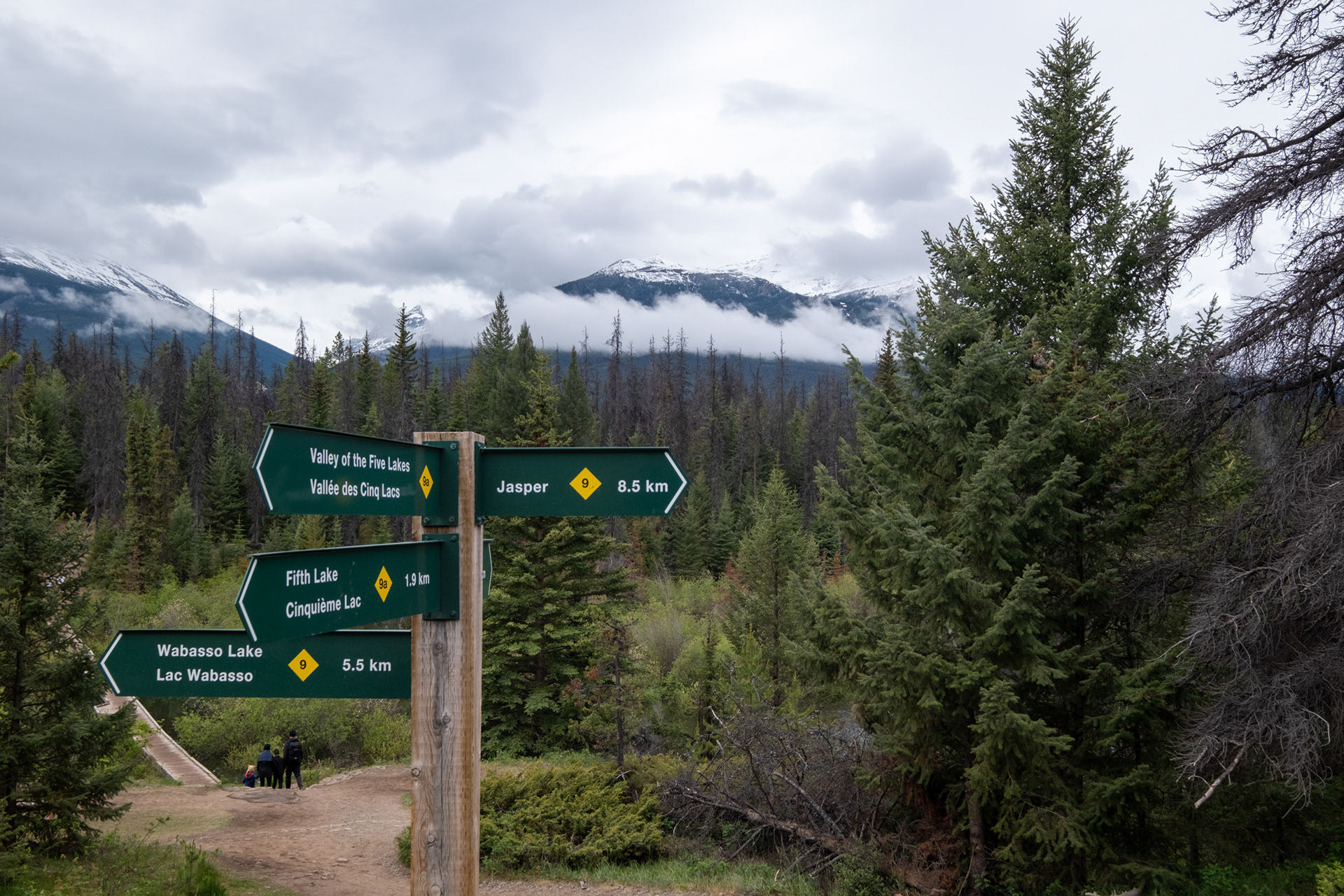 Valle de los 5 lagos - Jasper