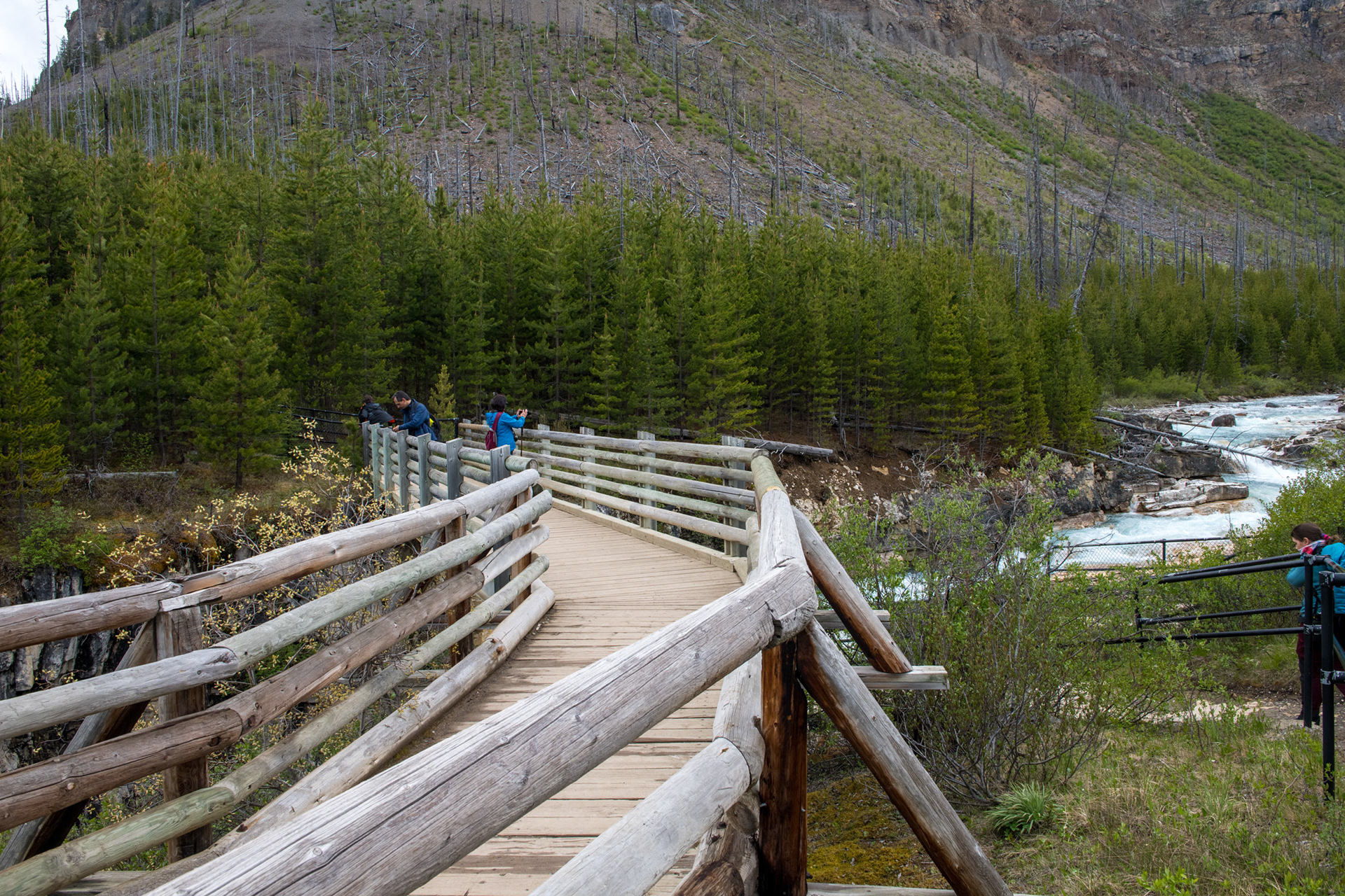 Marble Canyon (cañón) - Kootenai Nat. Park