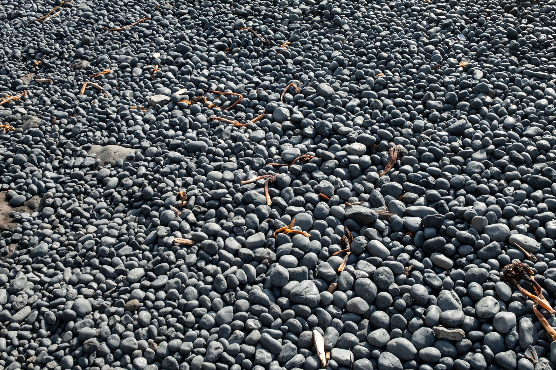 Faro Yaquina Head, OR