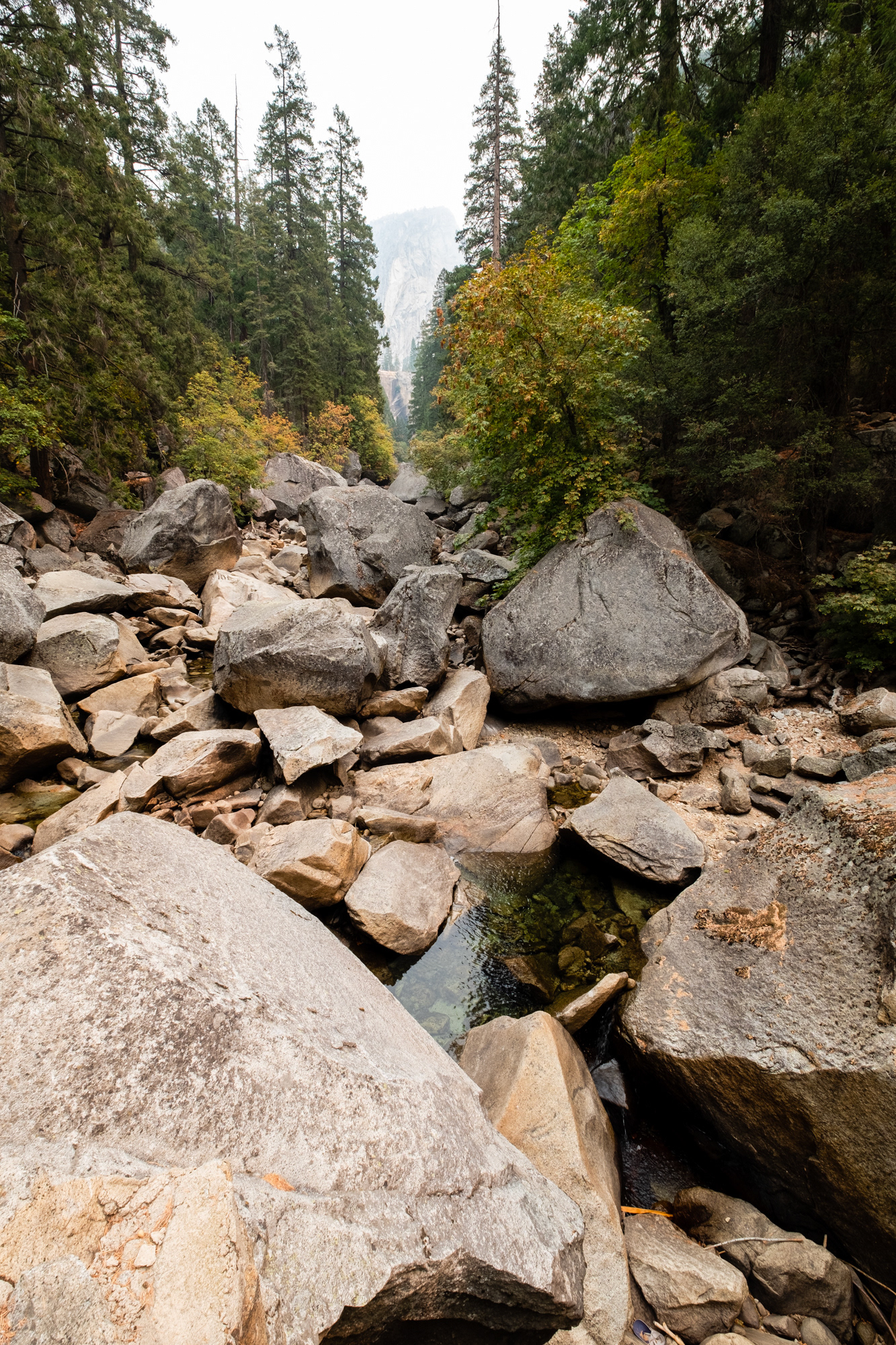 Yosemite - trillo a la cascada Vernal