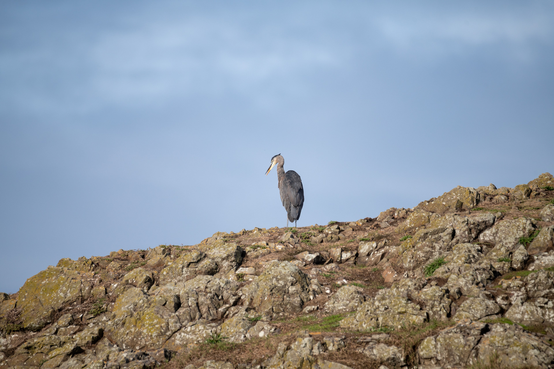 Seal Rock State Recreation Site