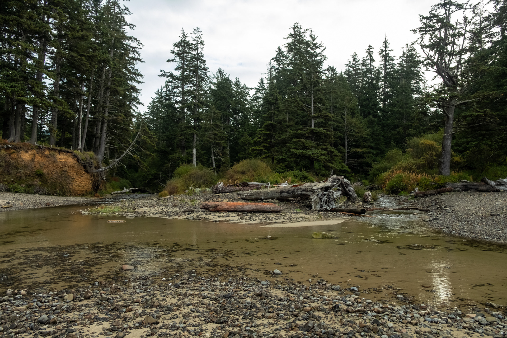Short Sand Beach - Oswald West State Park