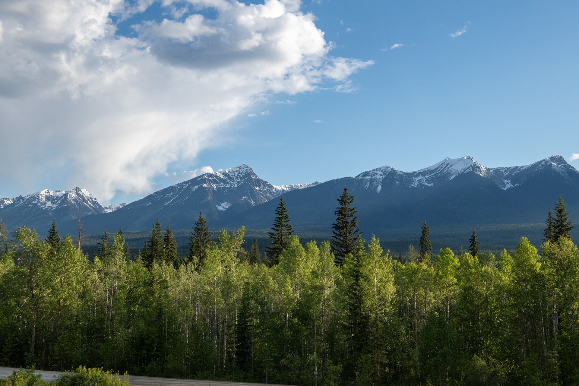 Rogers Pass - paso de montaña