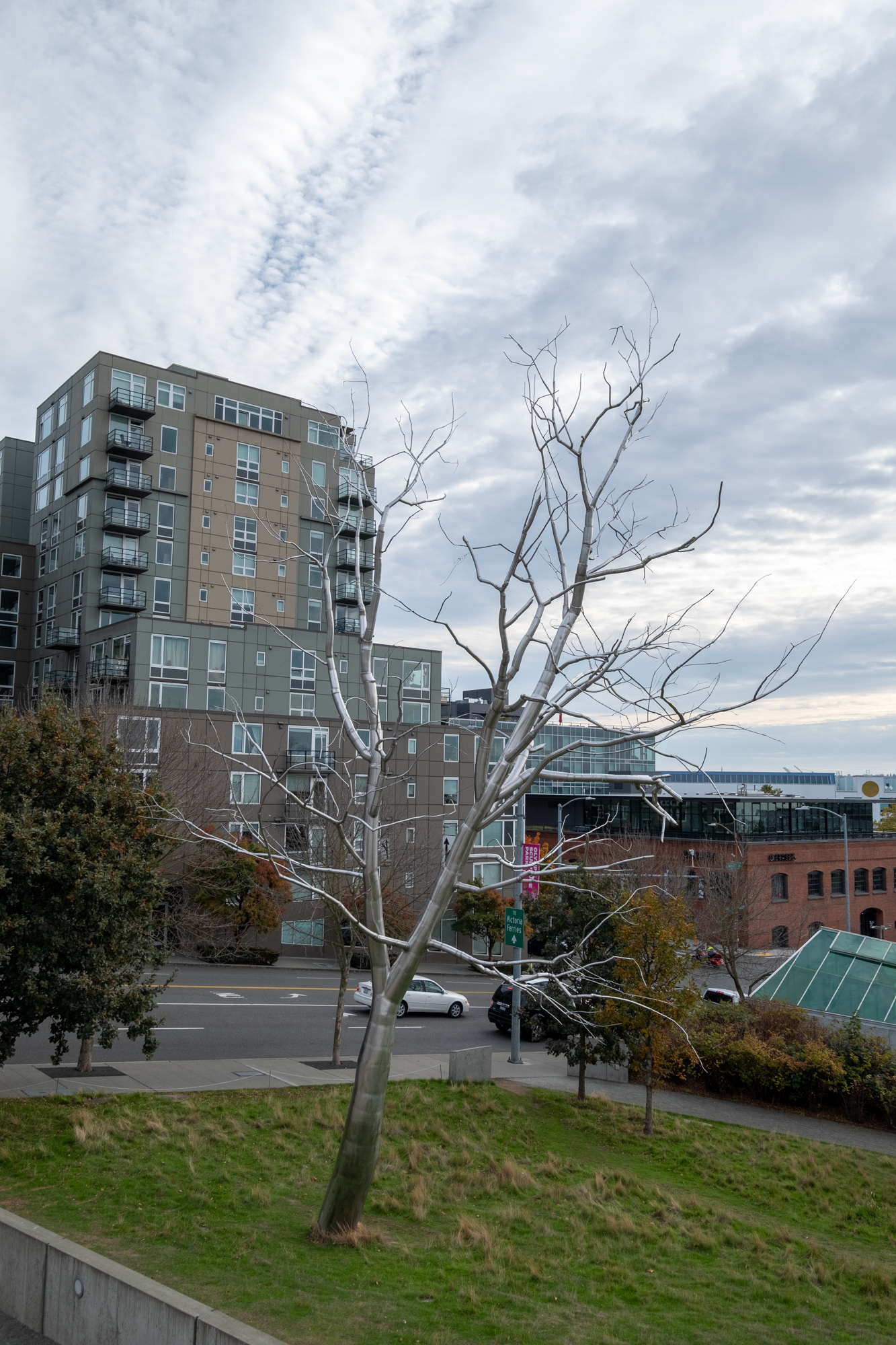 Olympic Sculpture Park (parque de esculturas)