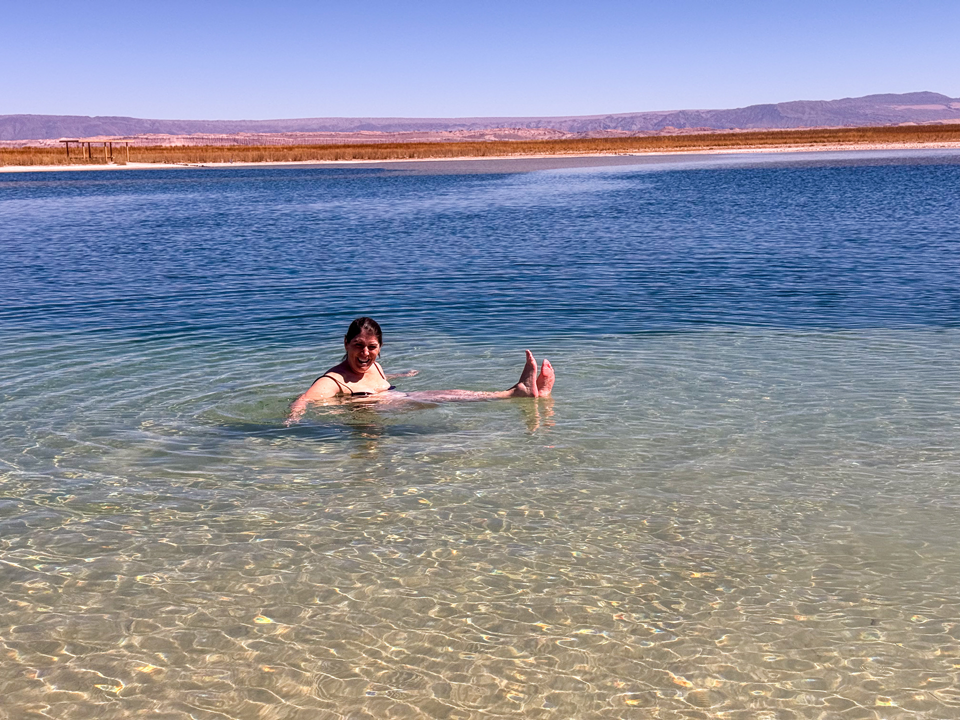 Experiencias de baño gelido en Laguna Cejar