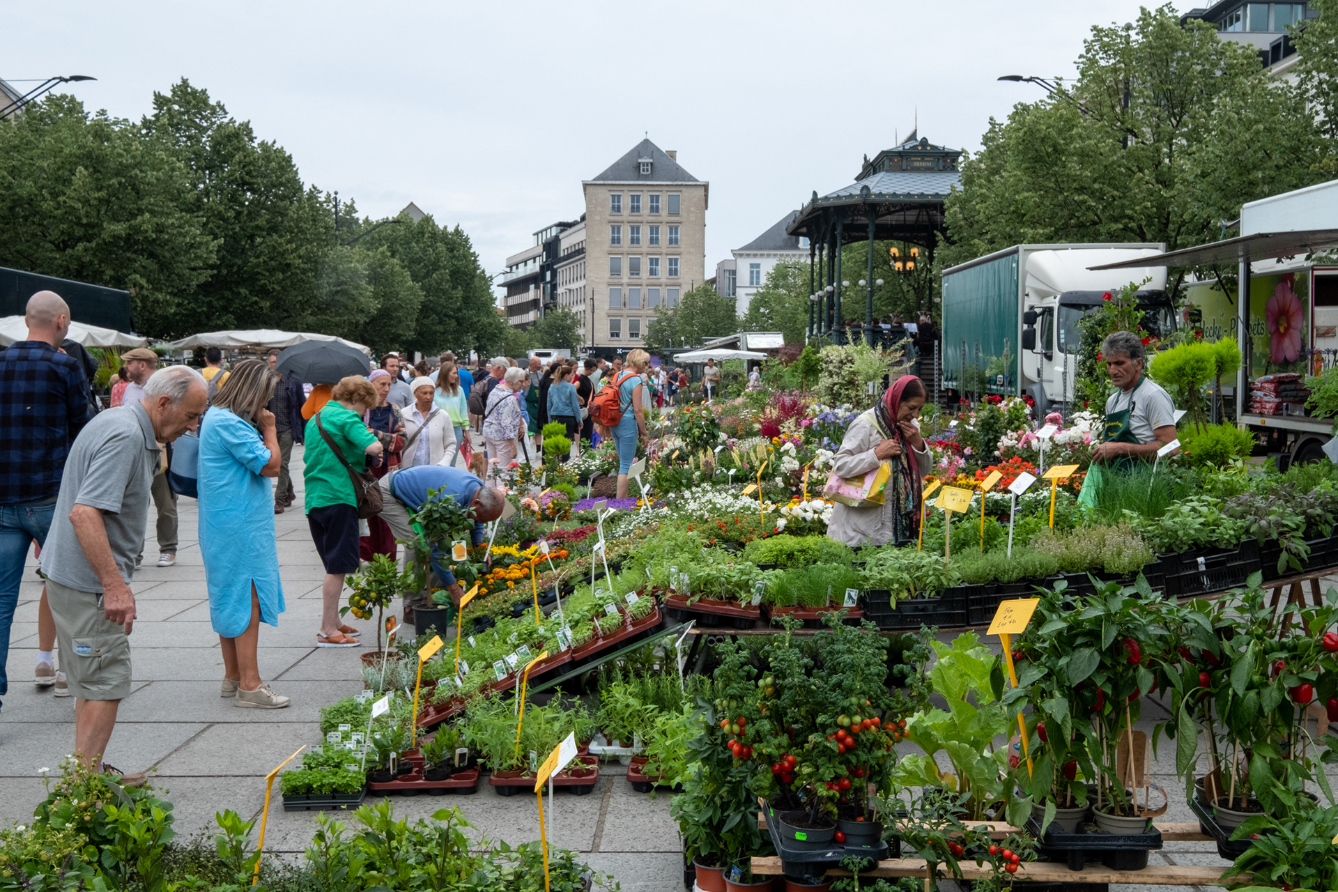 Plaza Kouter y mercado de flores (domingo)
