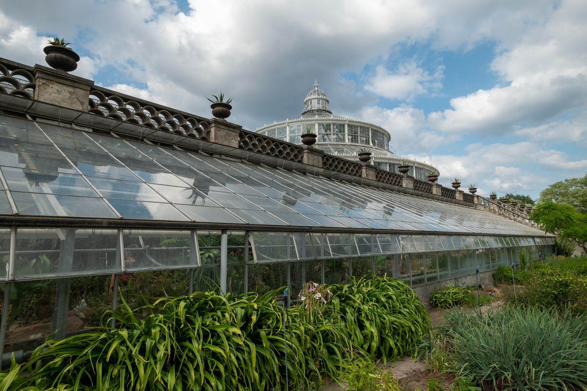 Jardín botánico - casa de palmeras