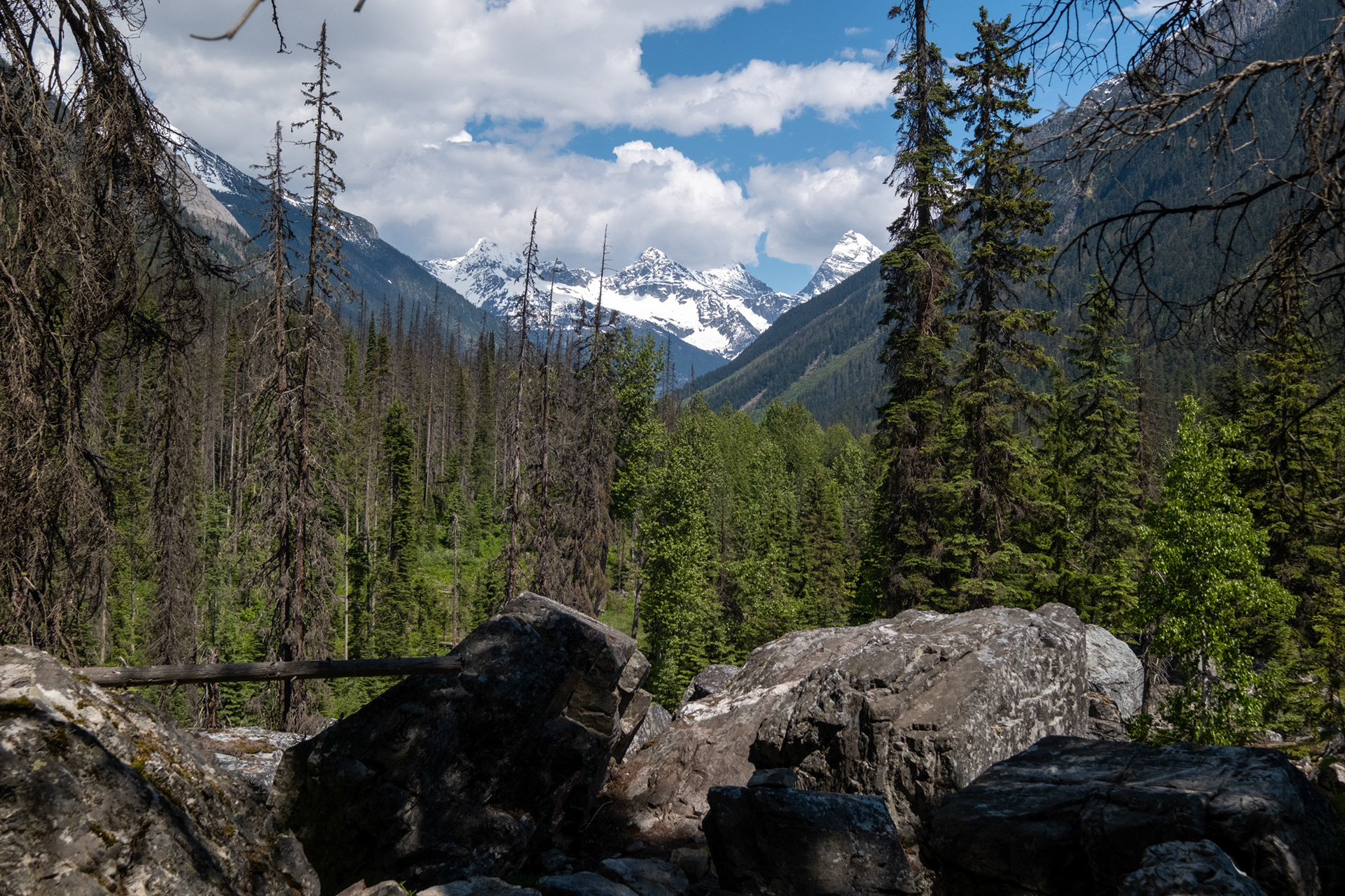 Glacier Nat. Park - "jardín de piedras" (rockgarden)