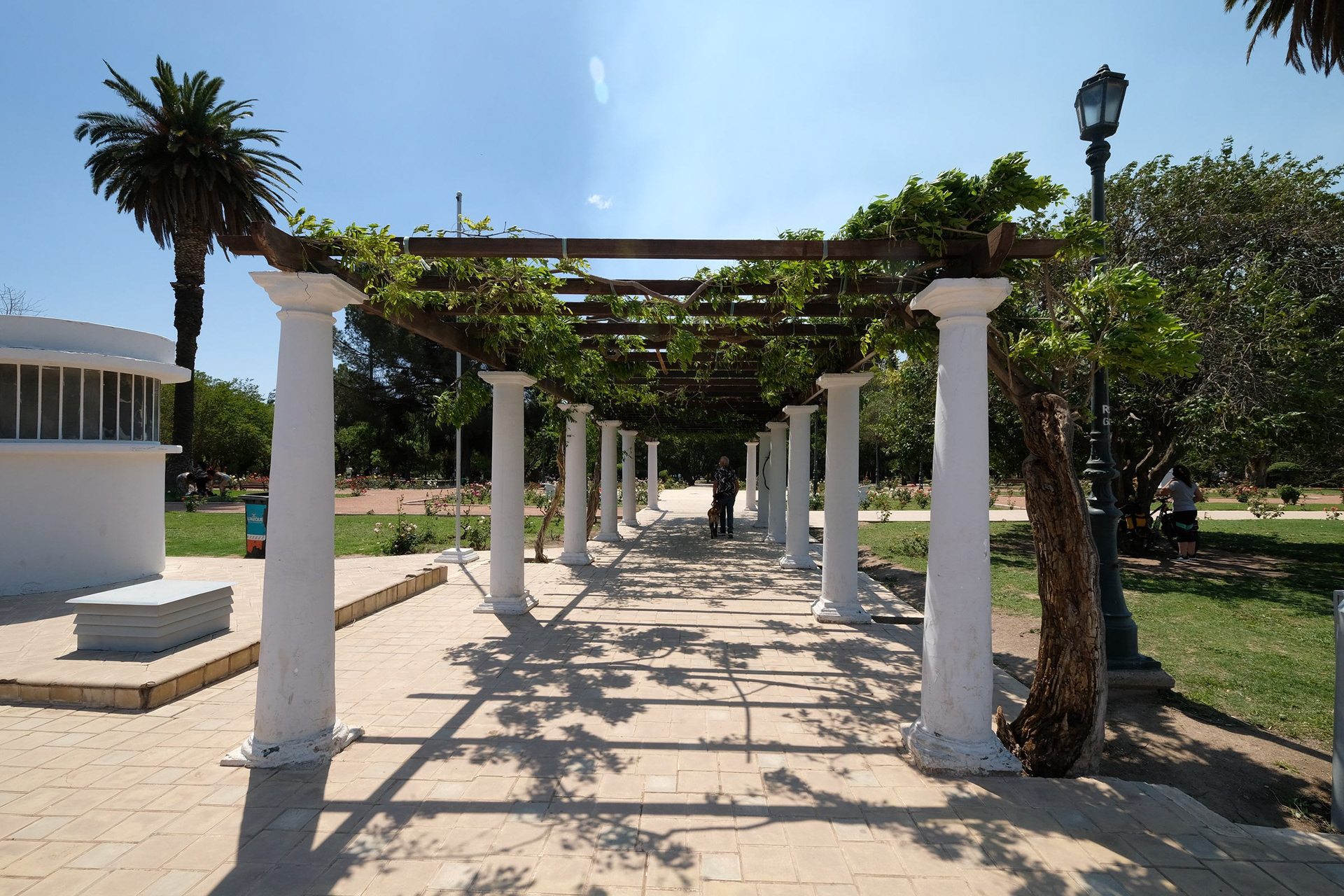 Rosedal del Parque General San Martin