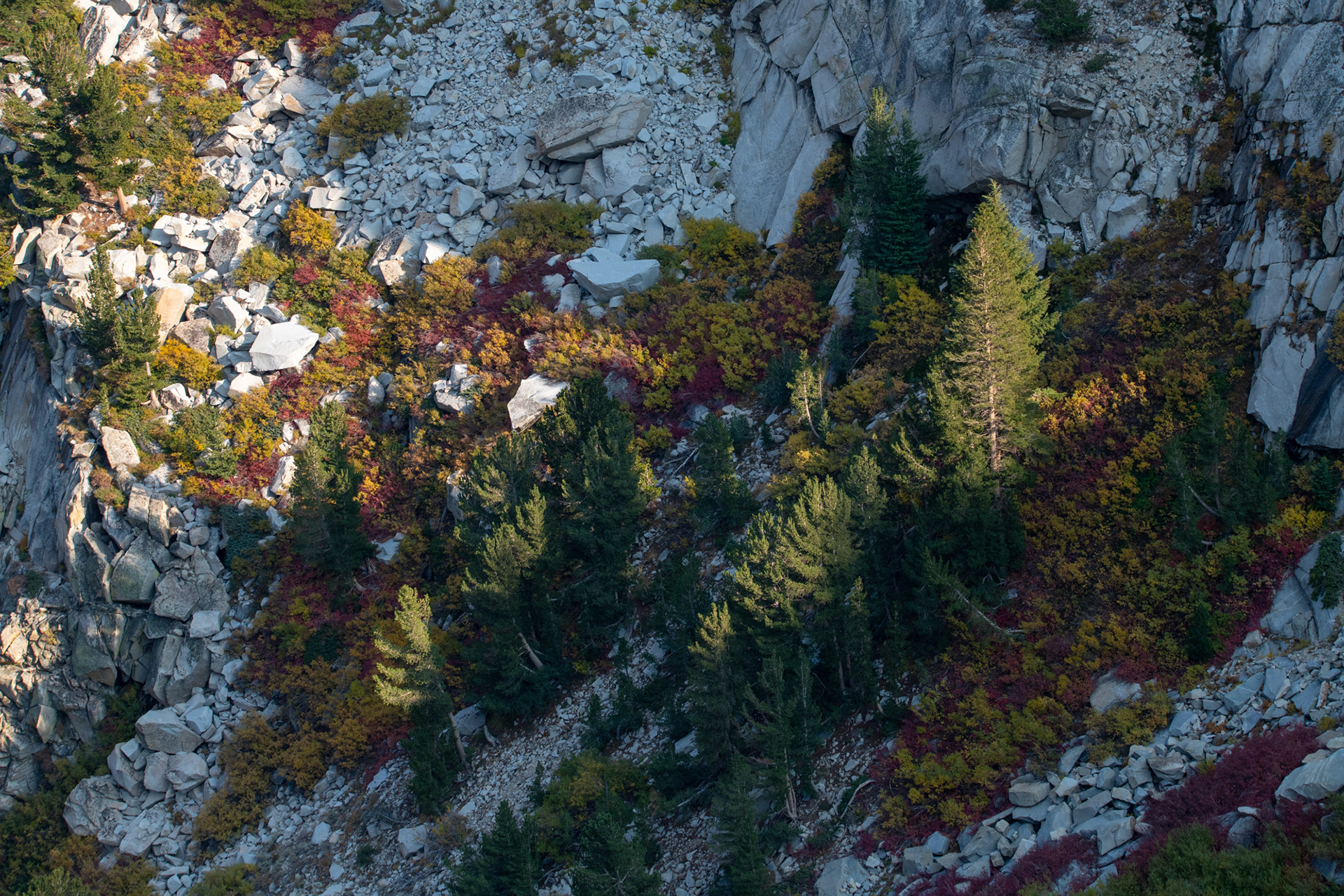 Yosemite - Tioga Pass