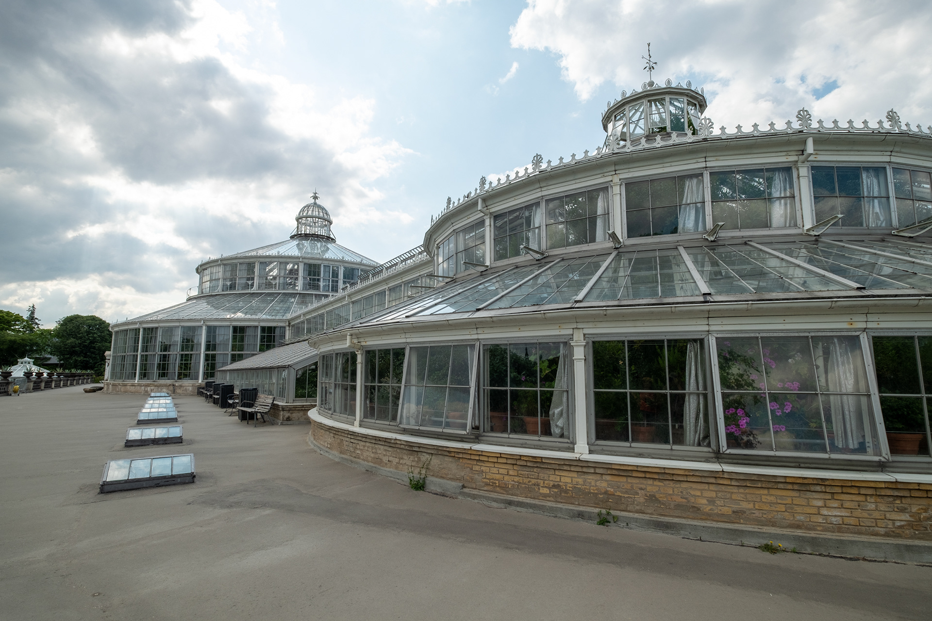 Jardín botánico - casa de palmeras