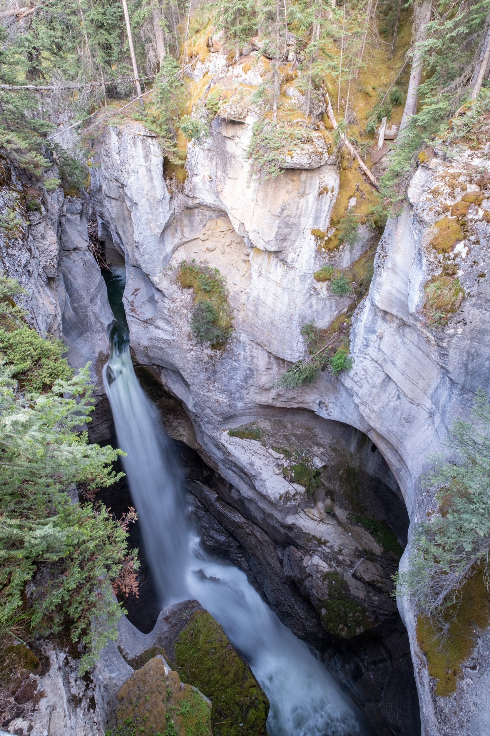 Cañón Maligne (Maligne canyon)