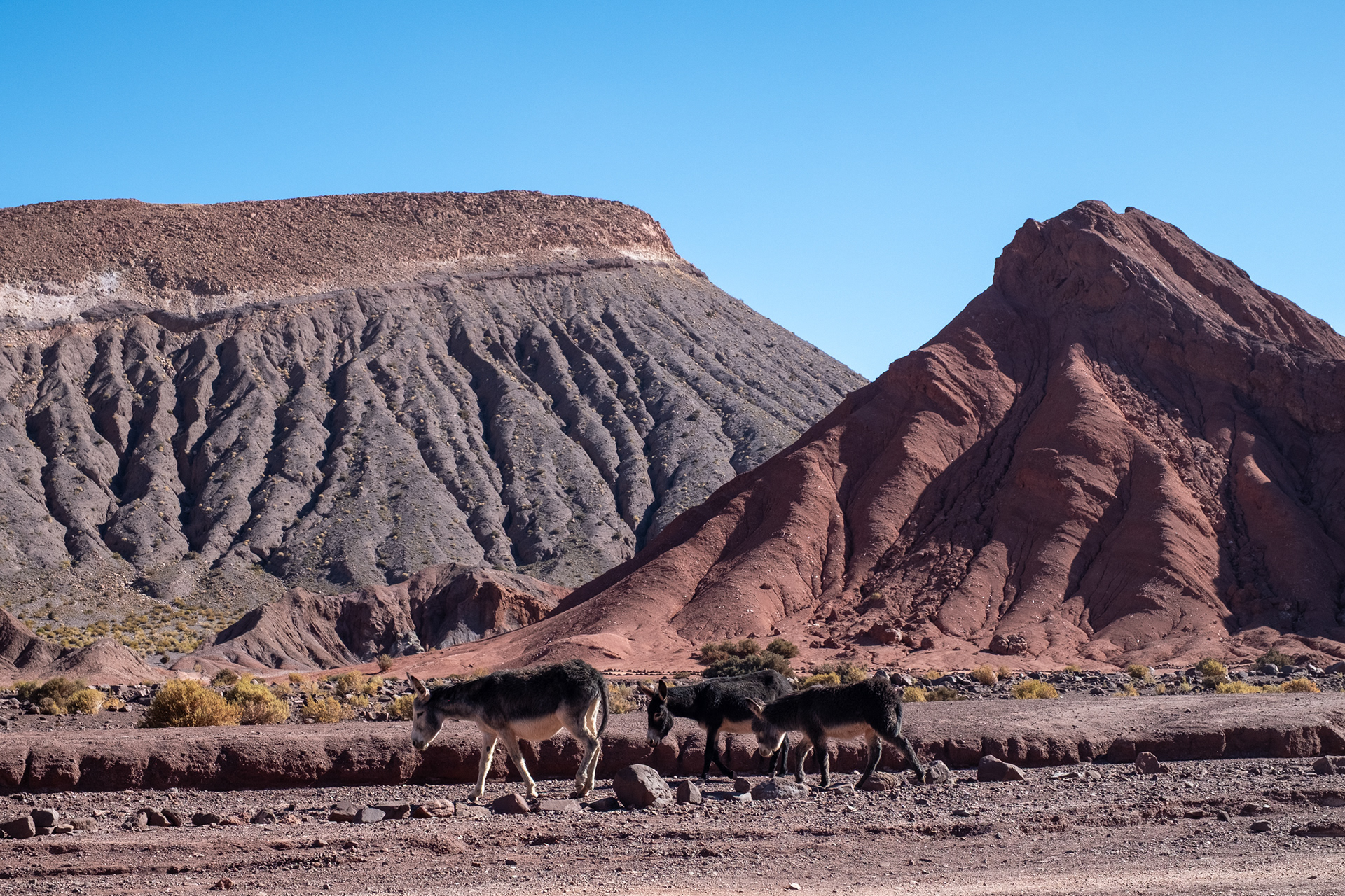 Valle del Arcoiris