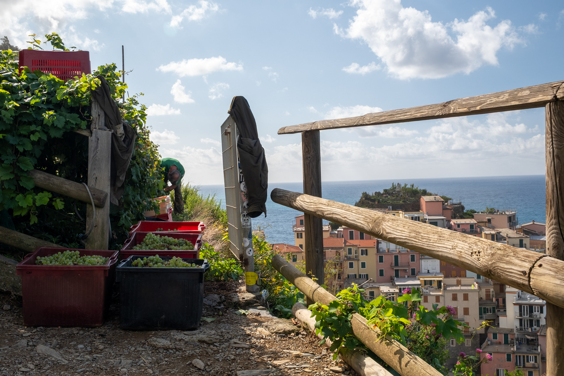 Manarola