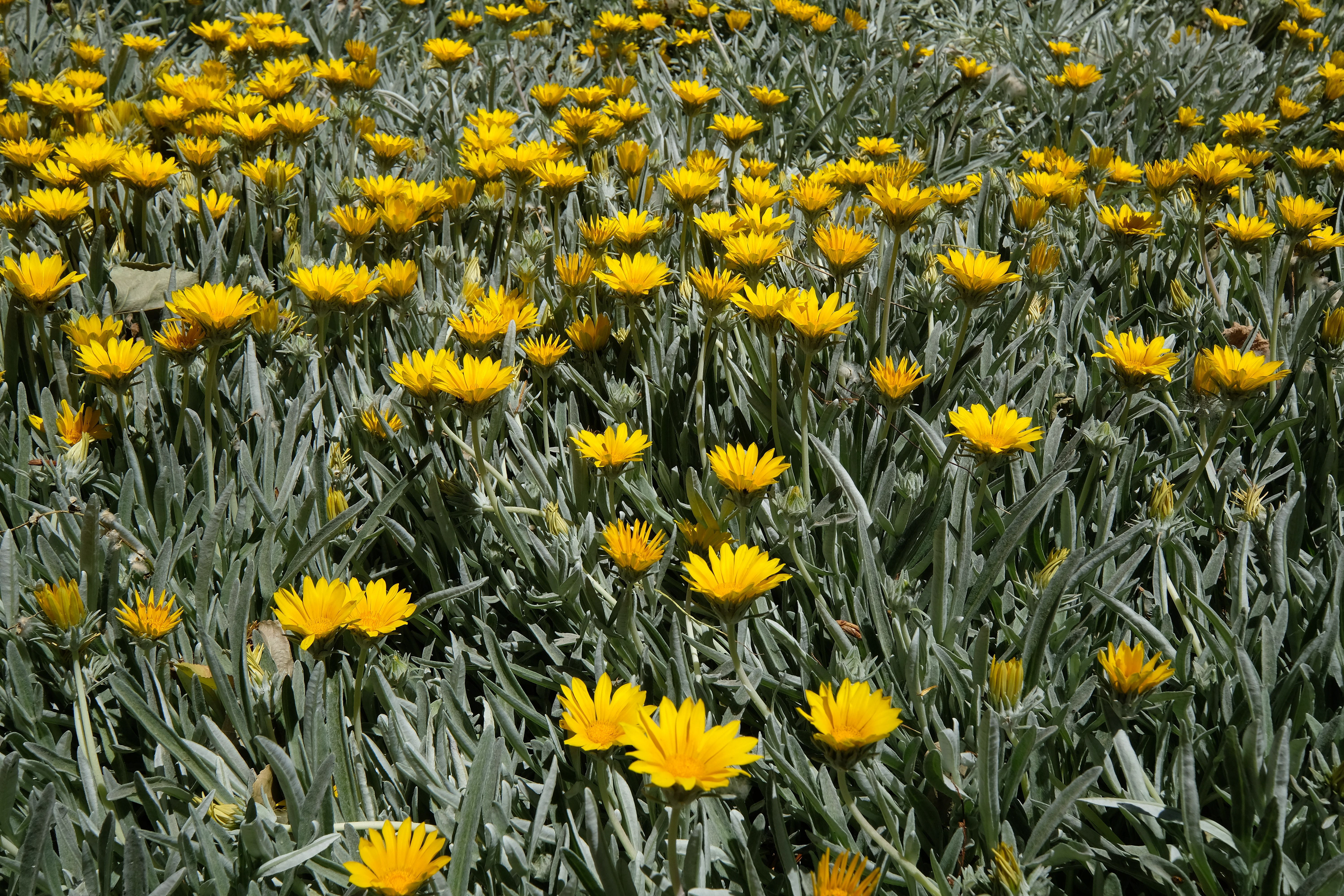Bodega Santa Julia - Casa del Visitante