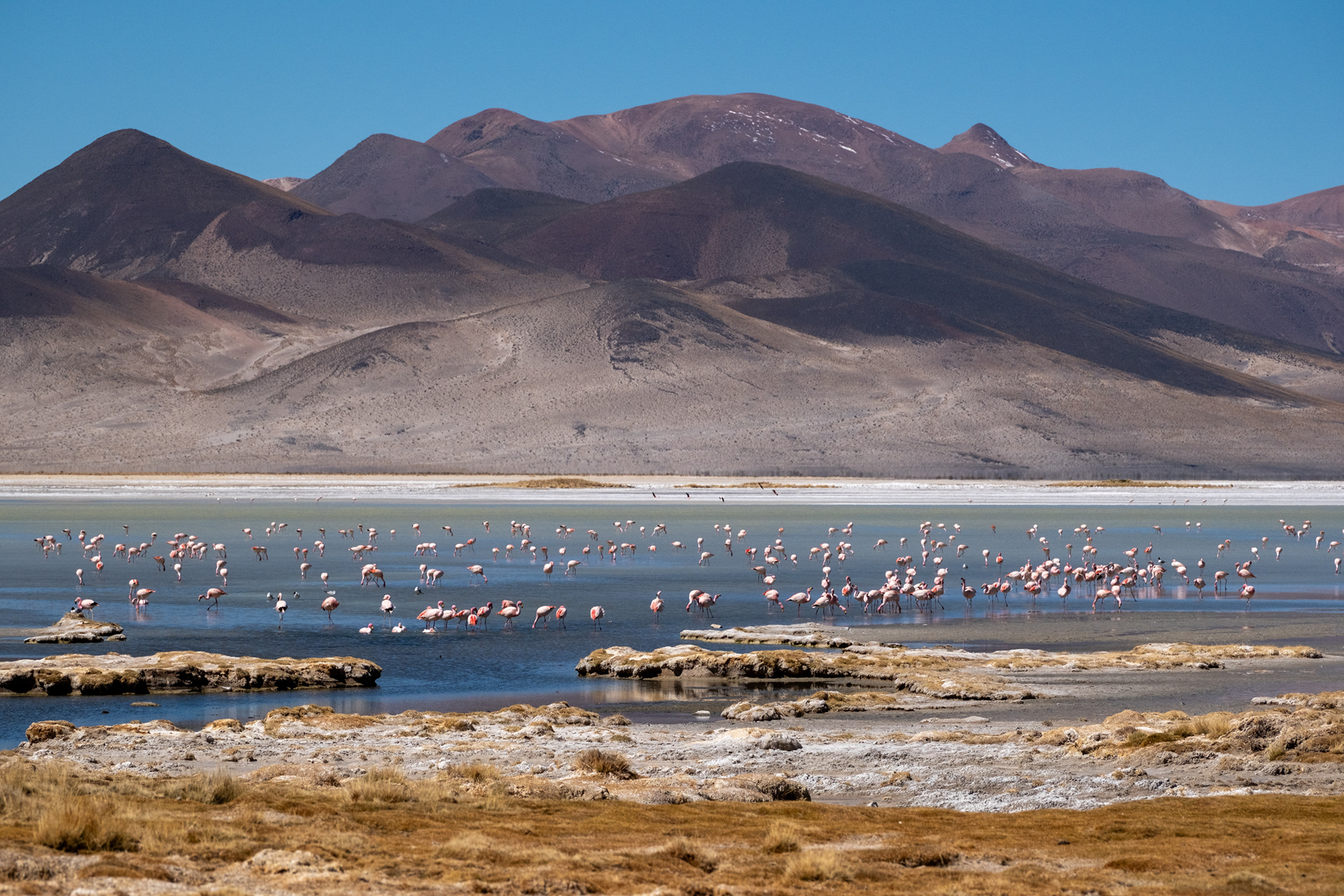 Salar del Huasco