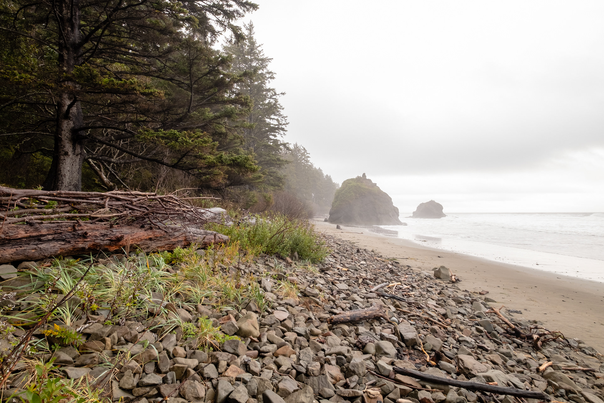 Second Beach, cerca de La Push, WA