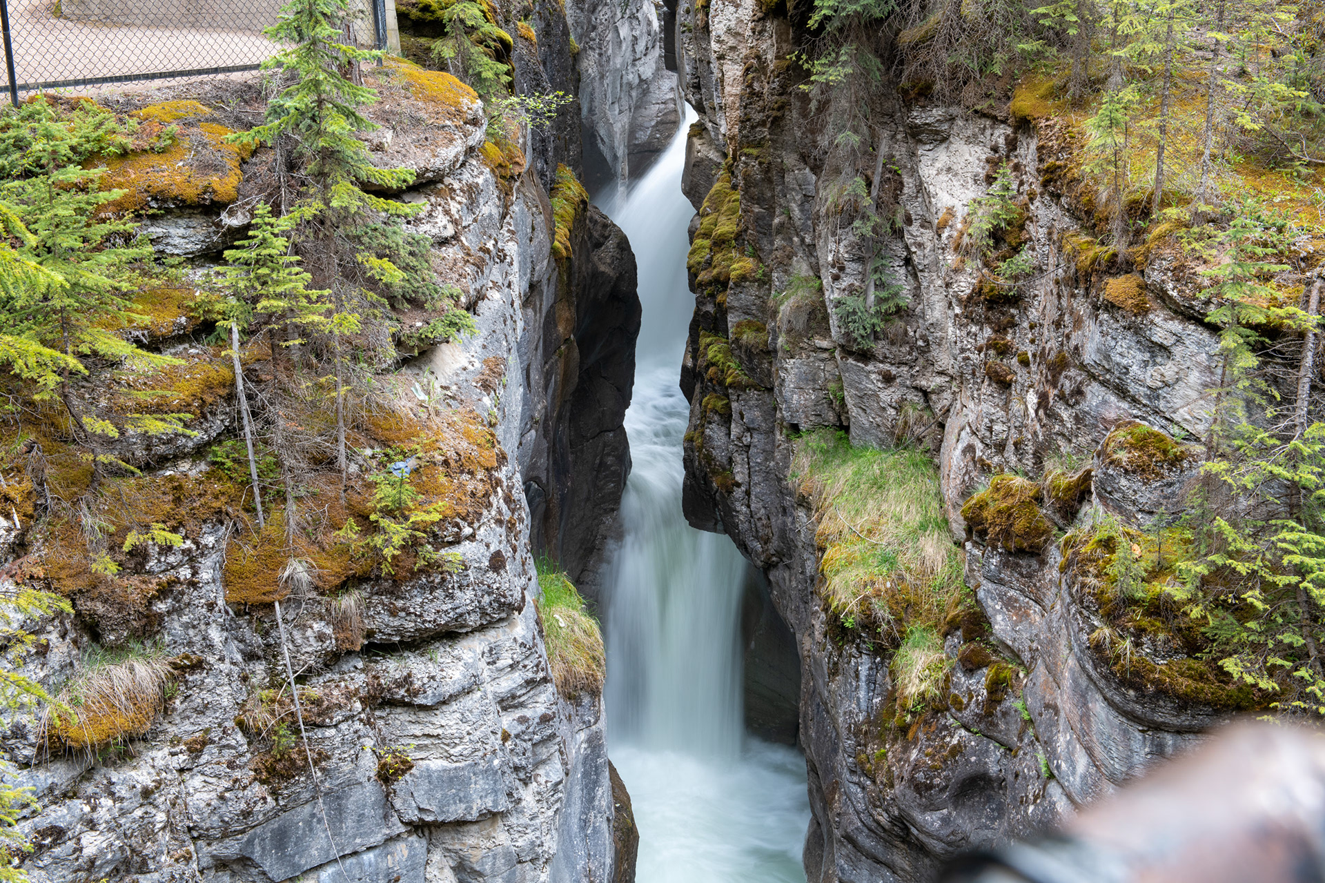 Cañón Maligne (Maligne canyon)
