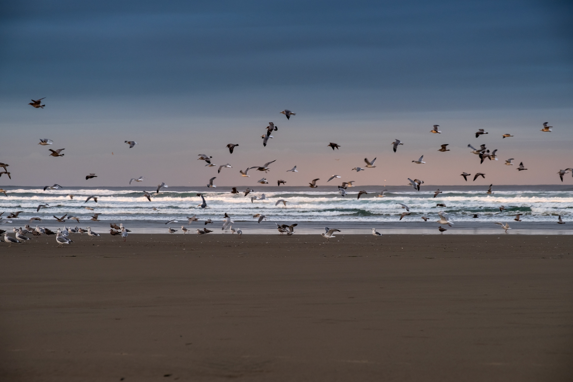 Sunset Beach, Manzanita OR