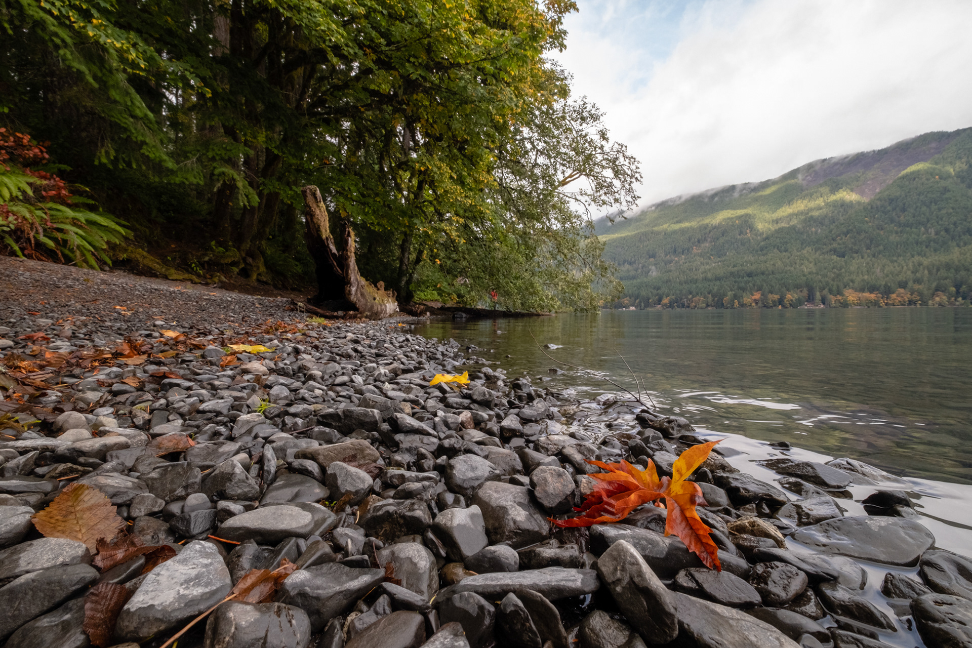 Lago Crescent, Olympic National Park, WA