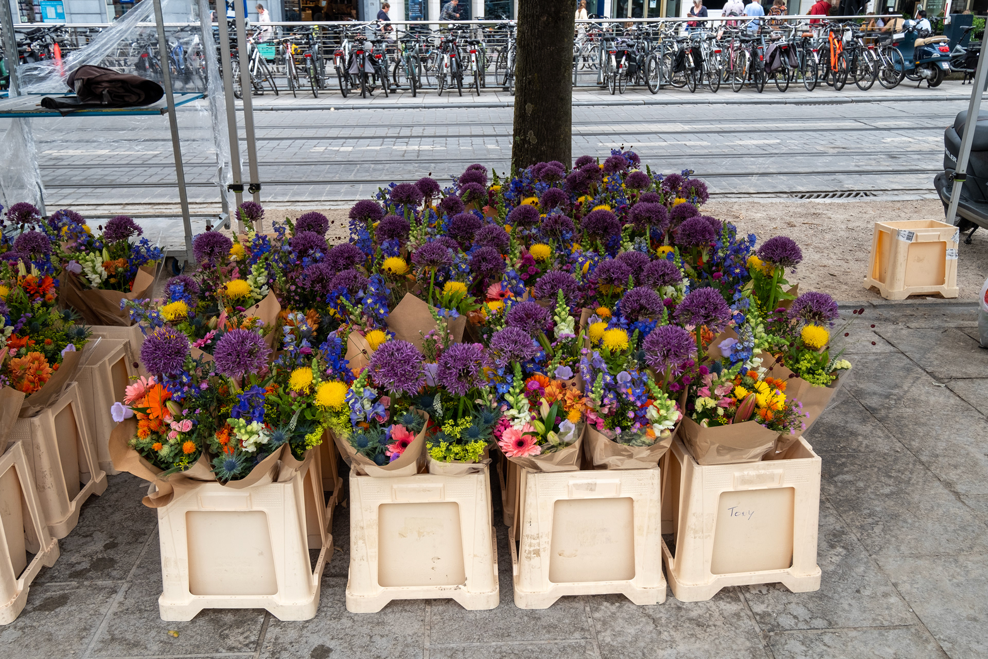 Plaza Kouter y mercado de flores (domingo) - Gante (Gent)