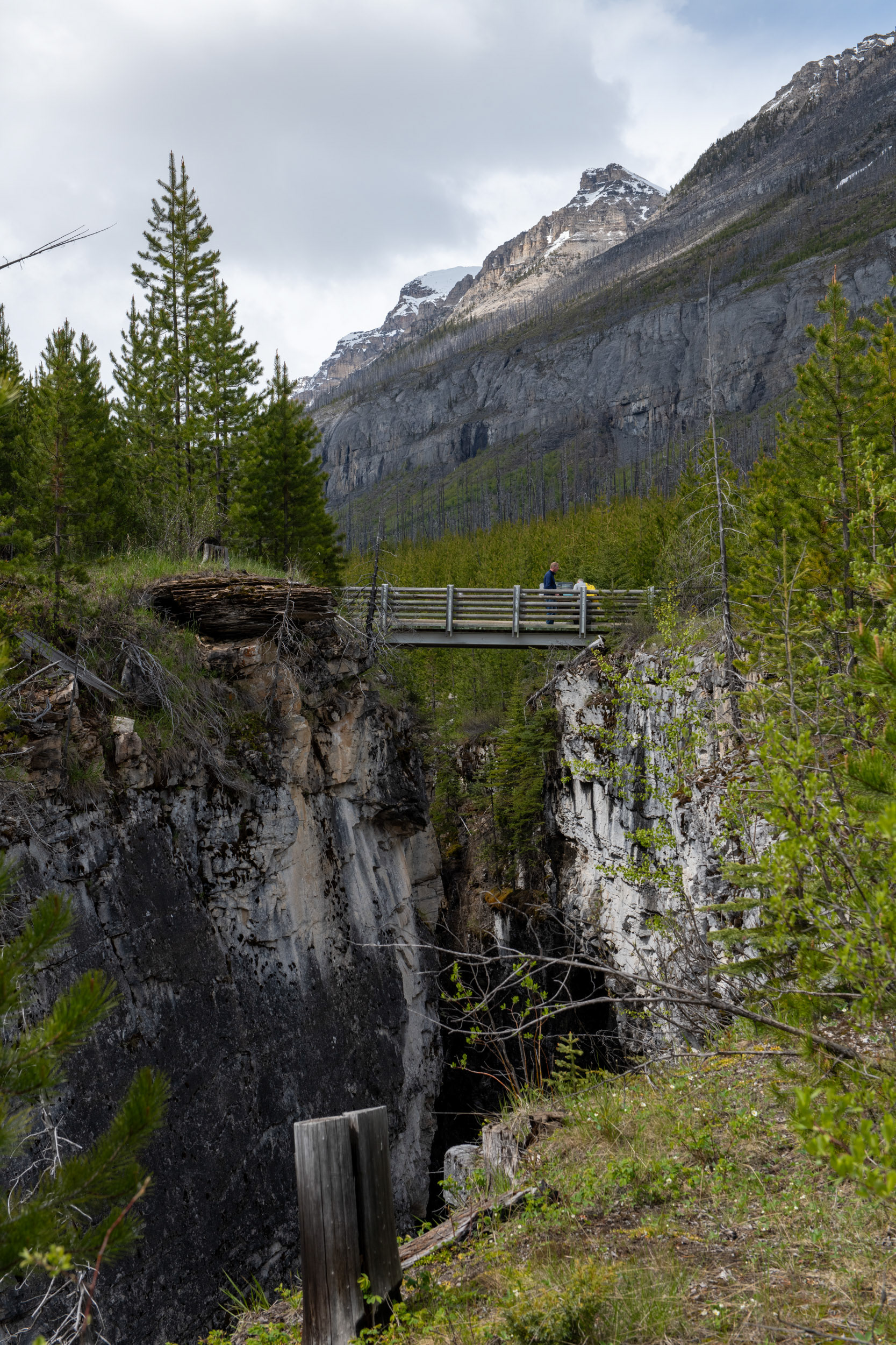Marble Canyon (cañón) - Kootenai Nat. Park