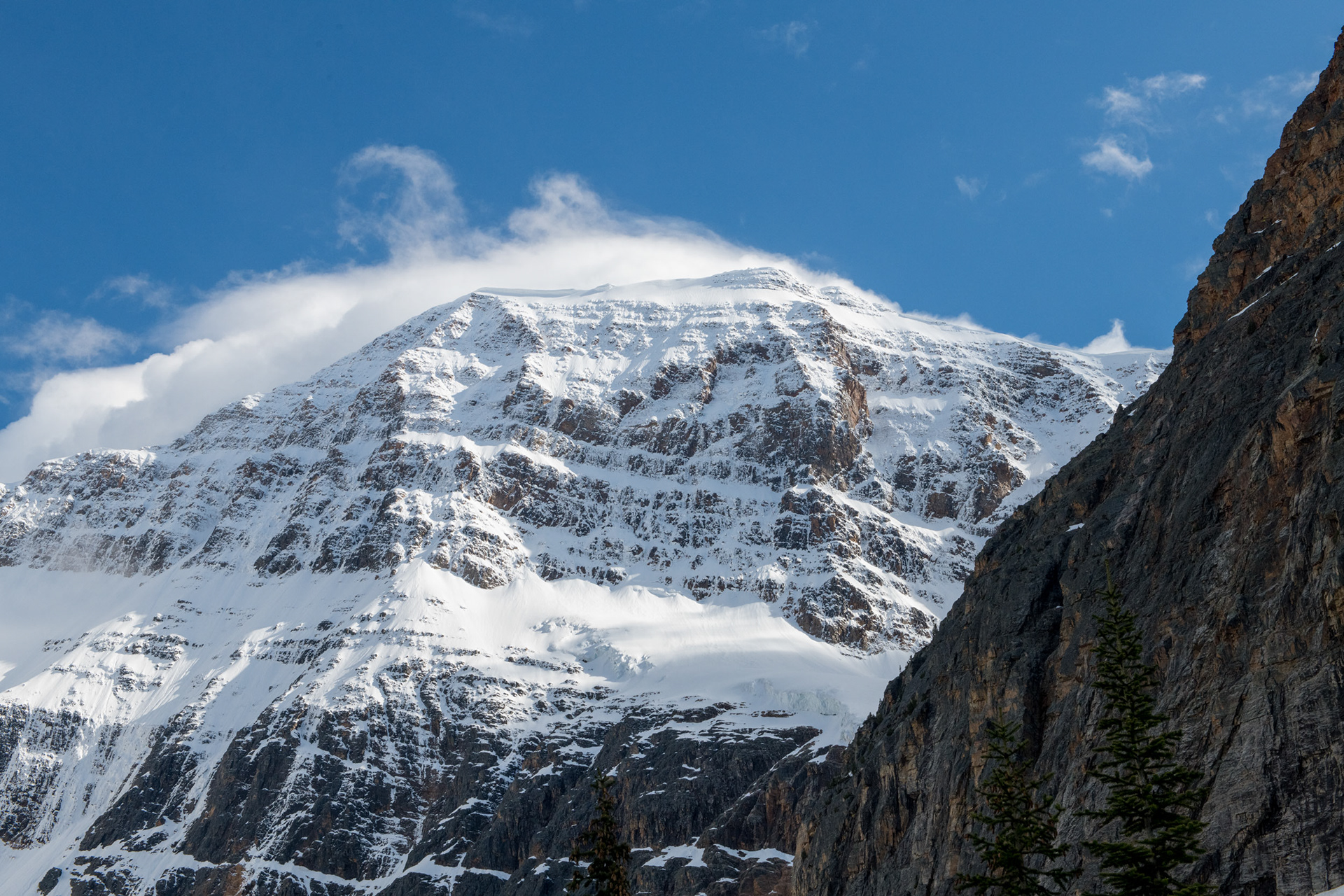 Monte Edith Cavell