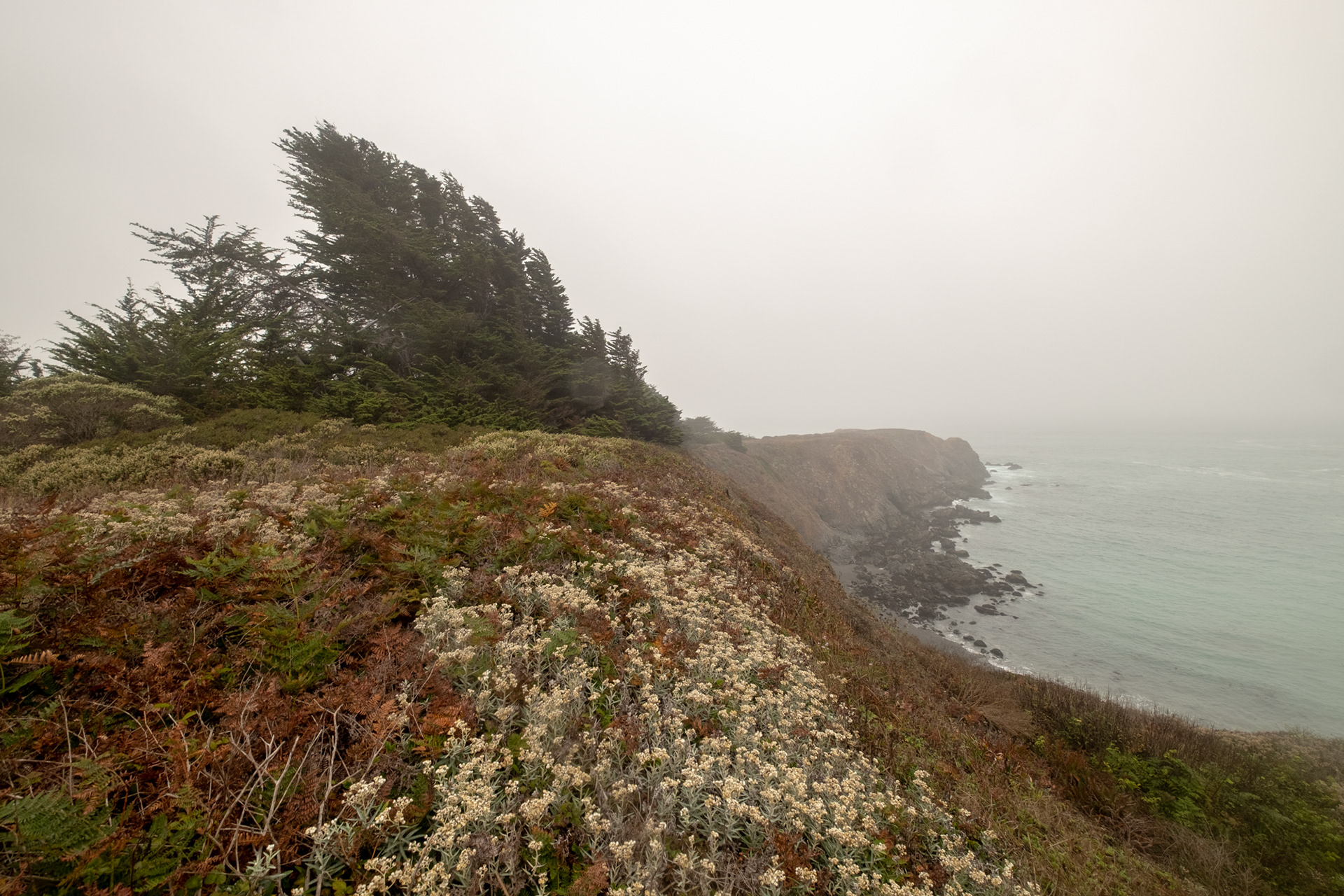 Costa de California, cerca de Mendocino