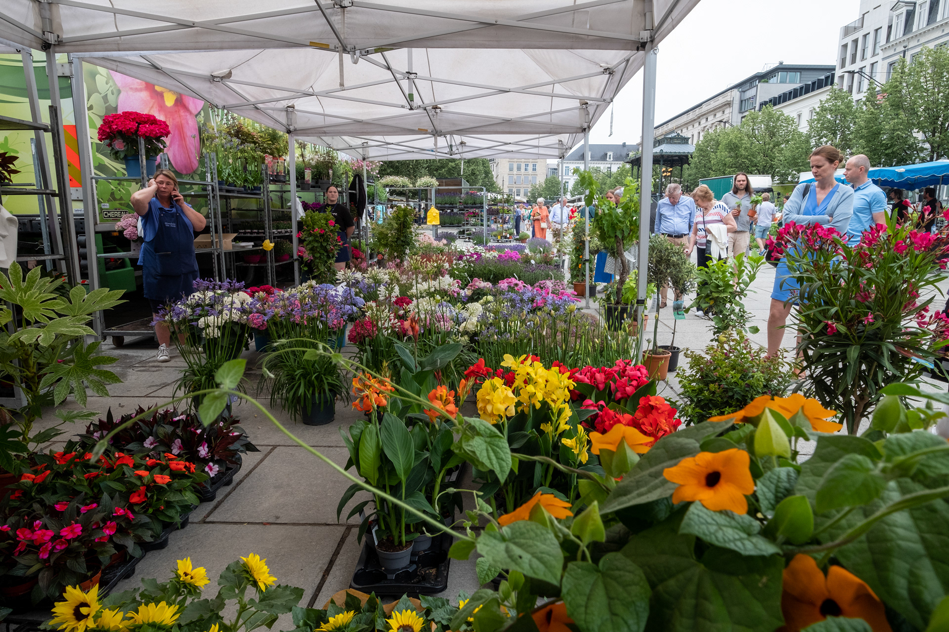 Plaza Kouter y mercado de flores (domingo)