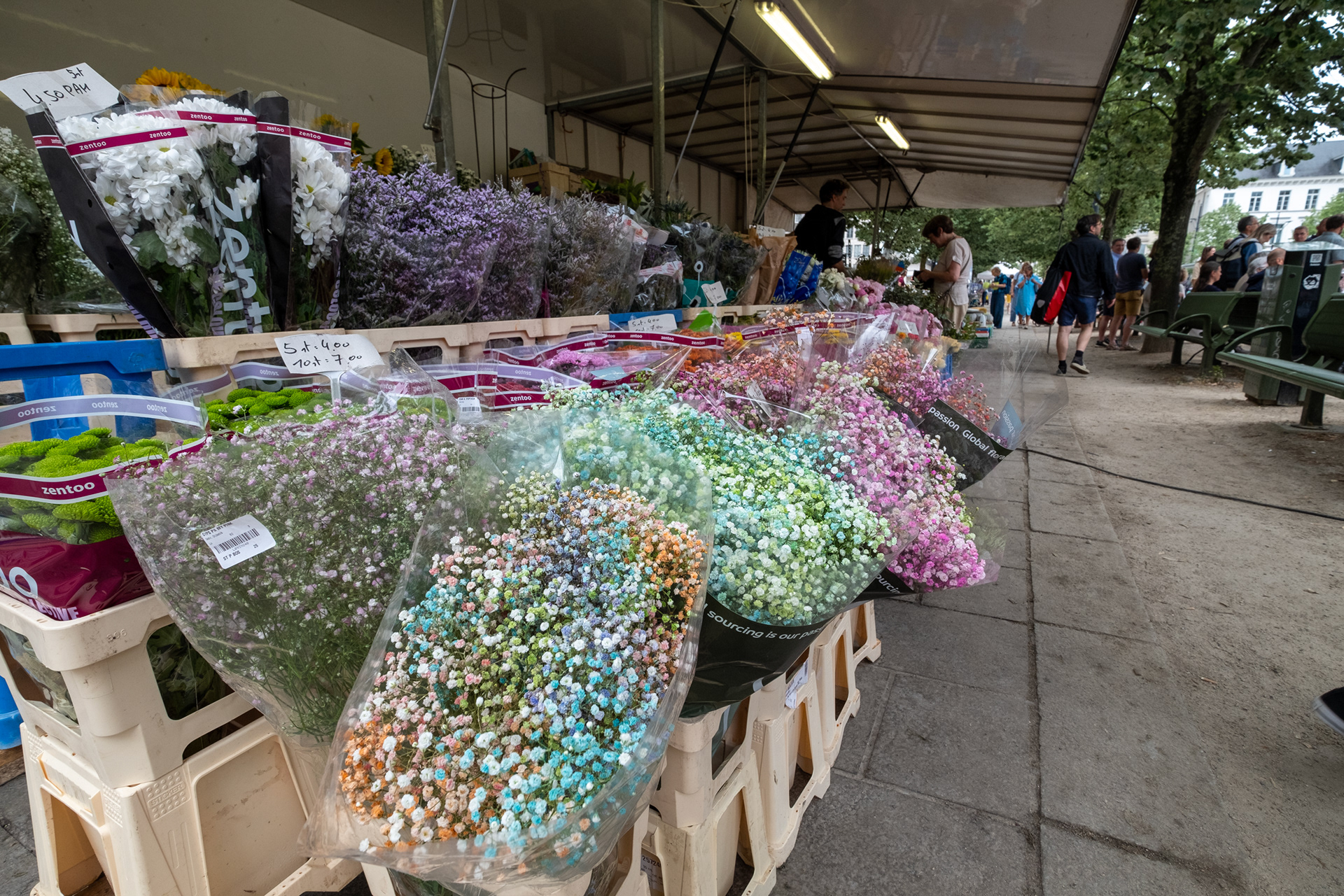 Plaza Kouter y mercado de flores (domingo)