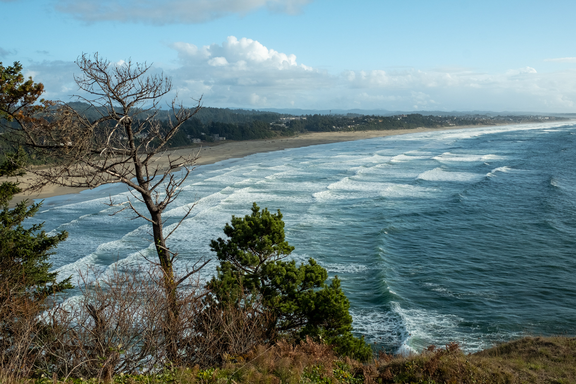 Vista desde Yaquina Head, OR