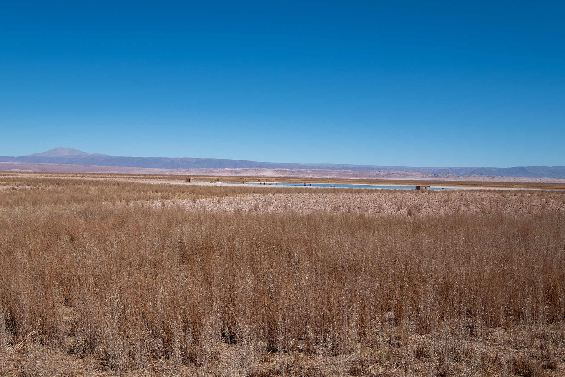 Laguna Cejar