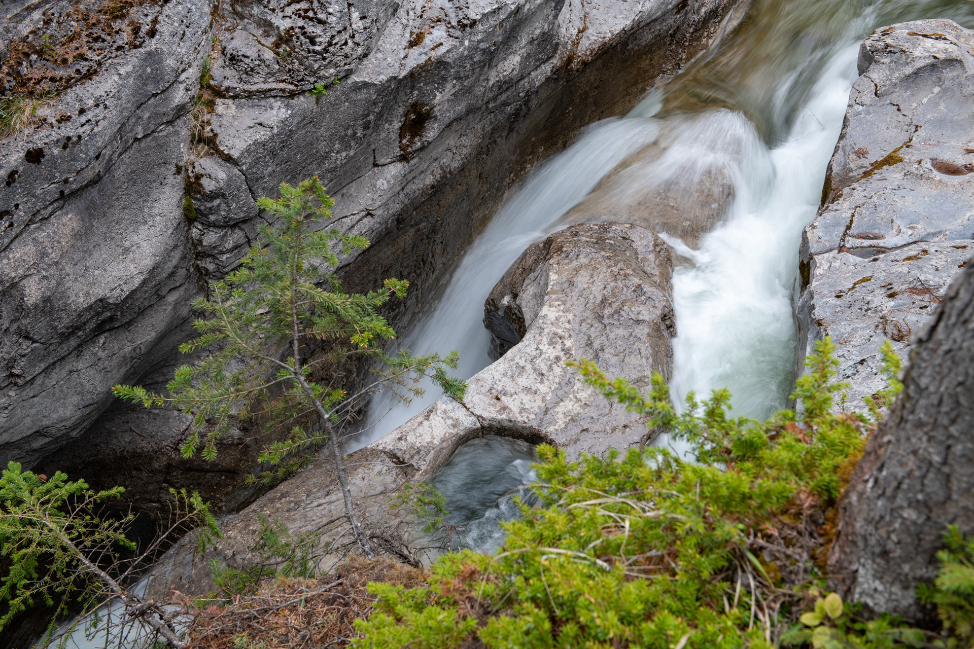 Cañón Maligne (Maligne canyon)