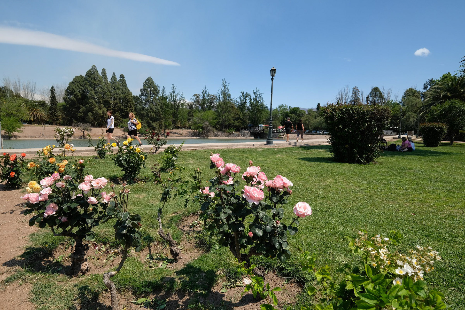 Rosedal del Parque General San Martin