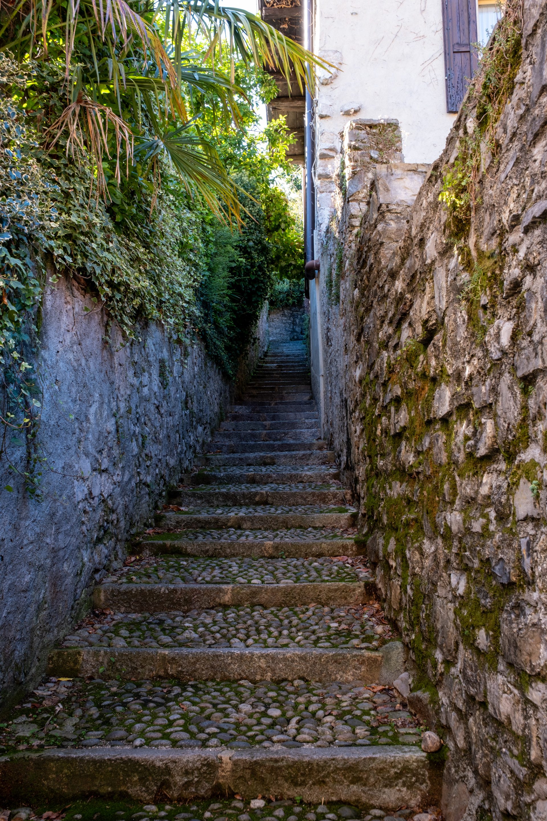 Pescallo, Bellagio