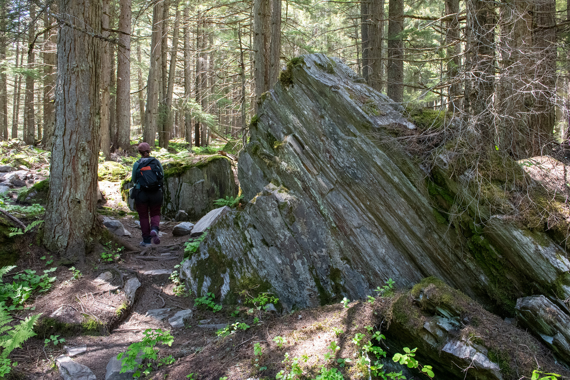 Glacier Nat. Park - "jardín de piedras" (rockgarden)