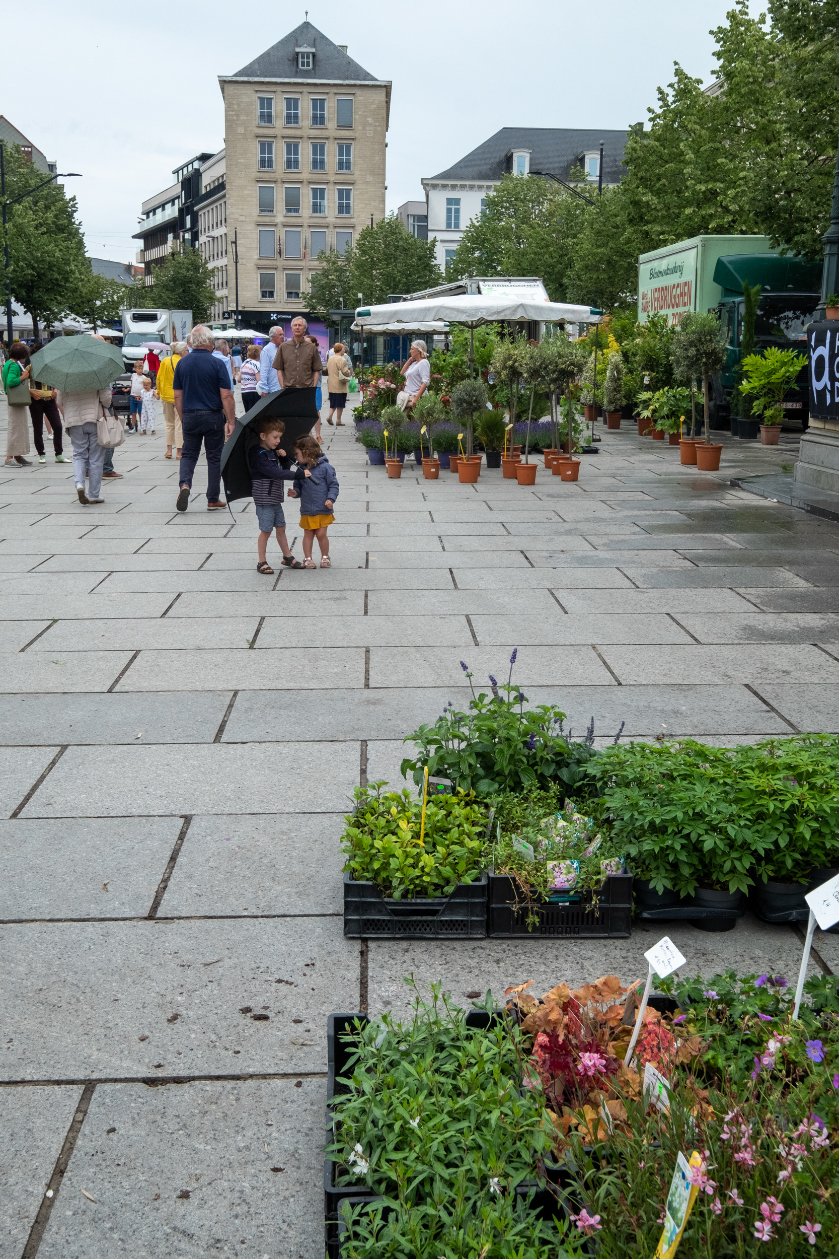 Plaza Kouter y mercado de flores (domingo)