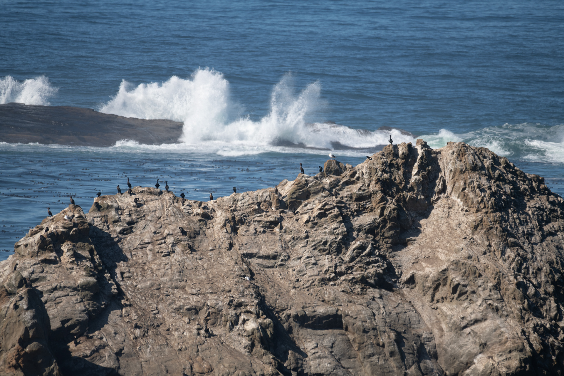 Shore Acres State Park
