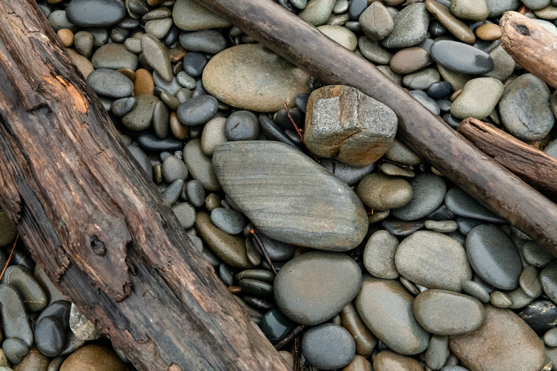 Ruby Beach - Kalaloch - Cedar creek