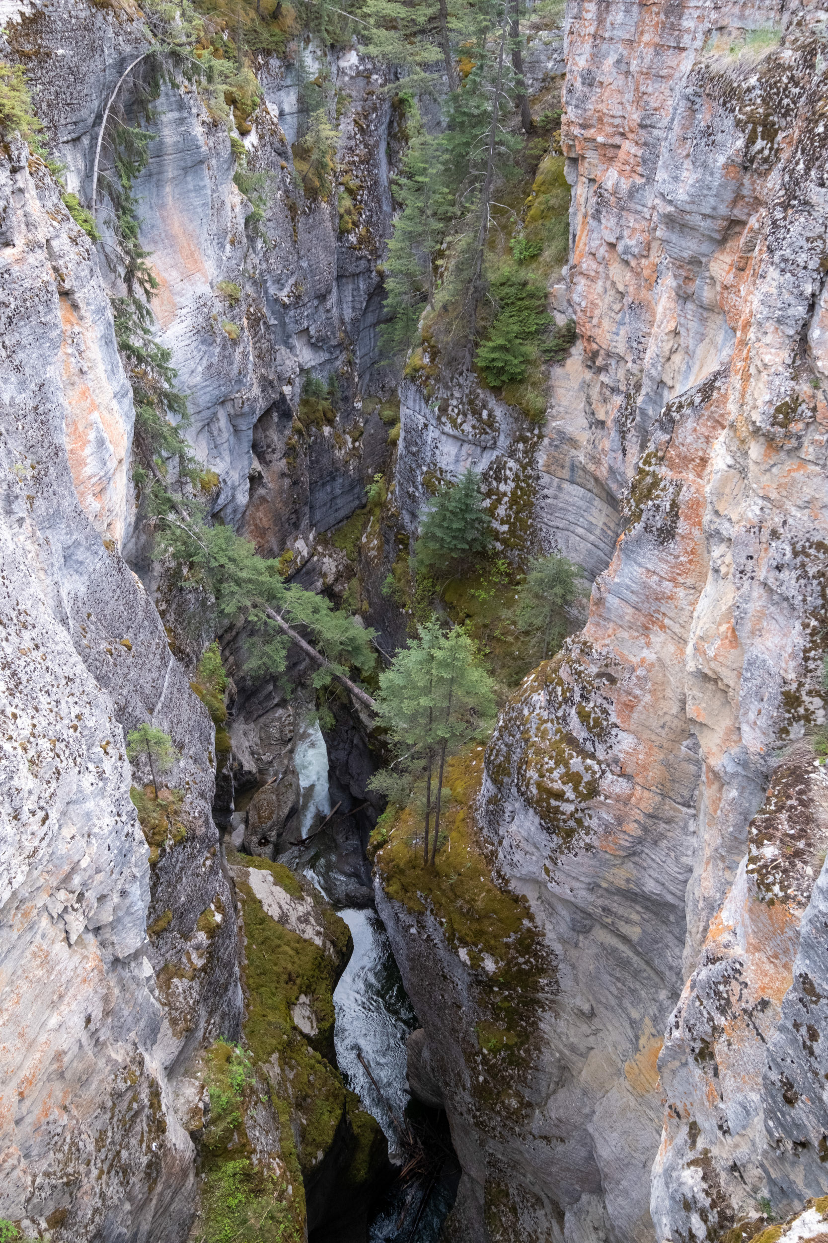 Cañón Maligne (Maligne canyon)