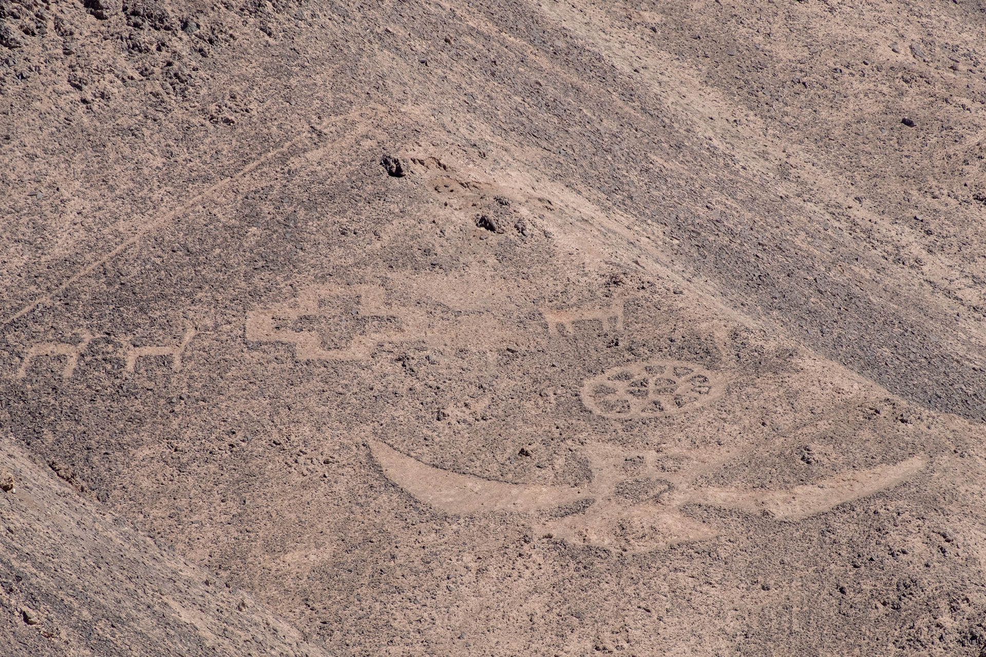 Geoglifos de Pintados