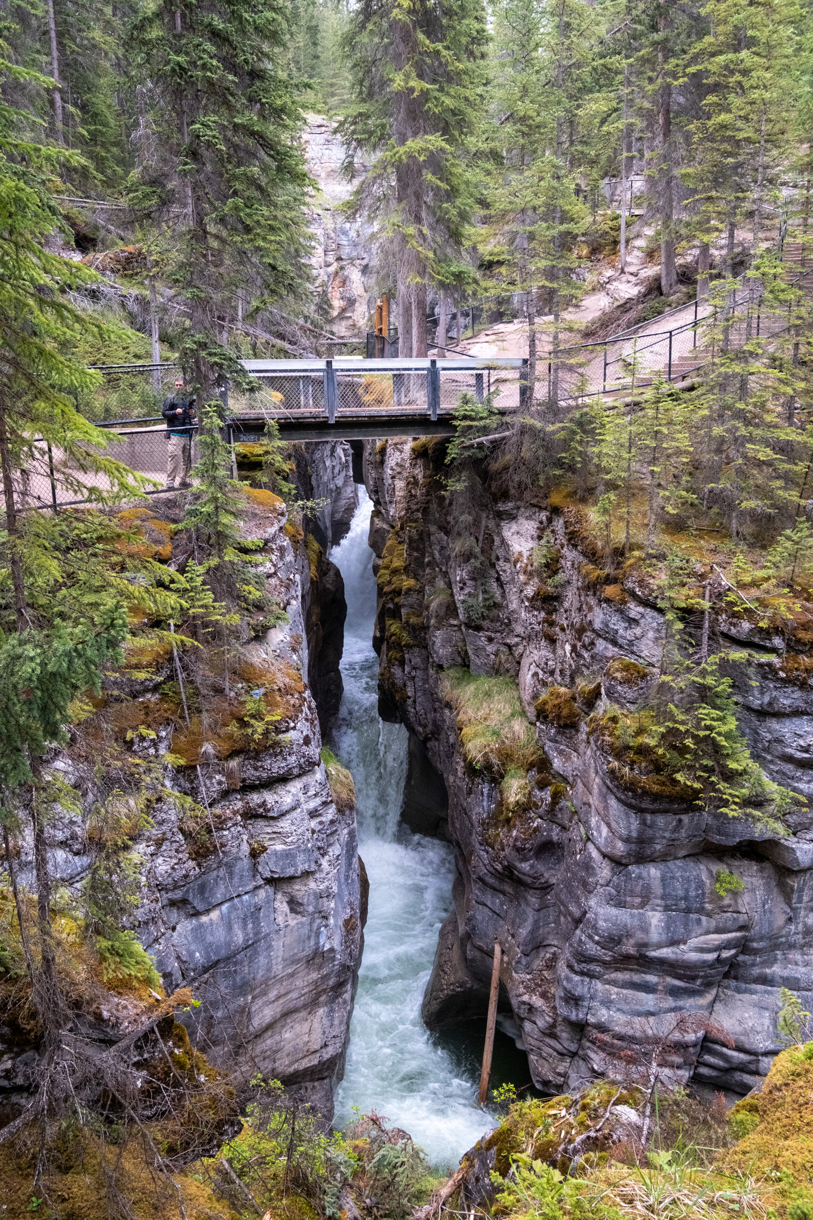 Cañón Maligne (Maligne canyon)