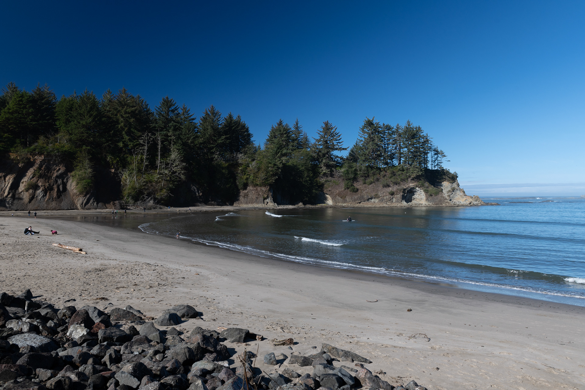 Shore Acres State Park