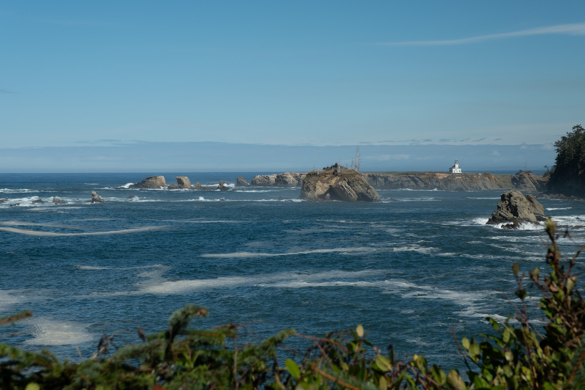 Cape Arago State Park