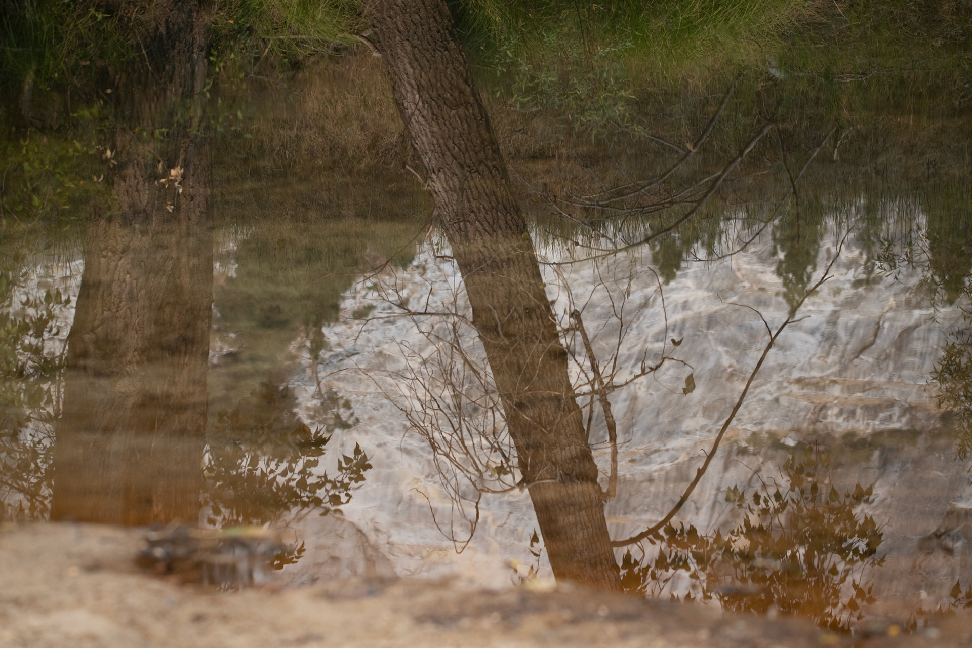 Yosemite - Río Merced