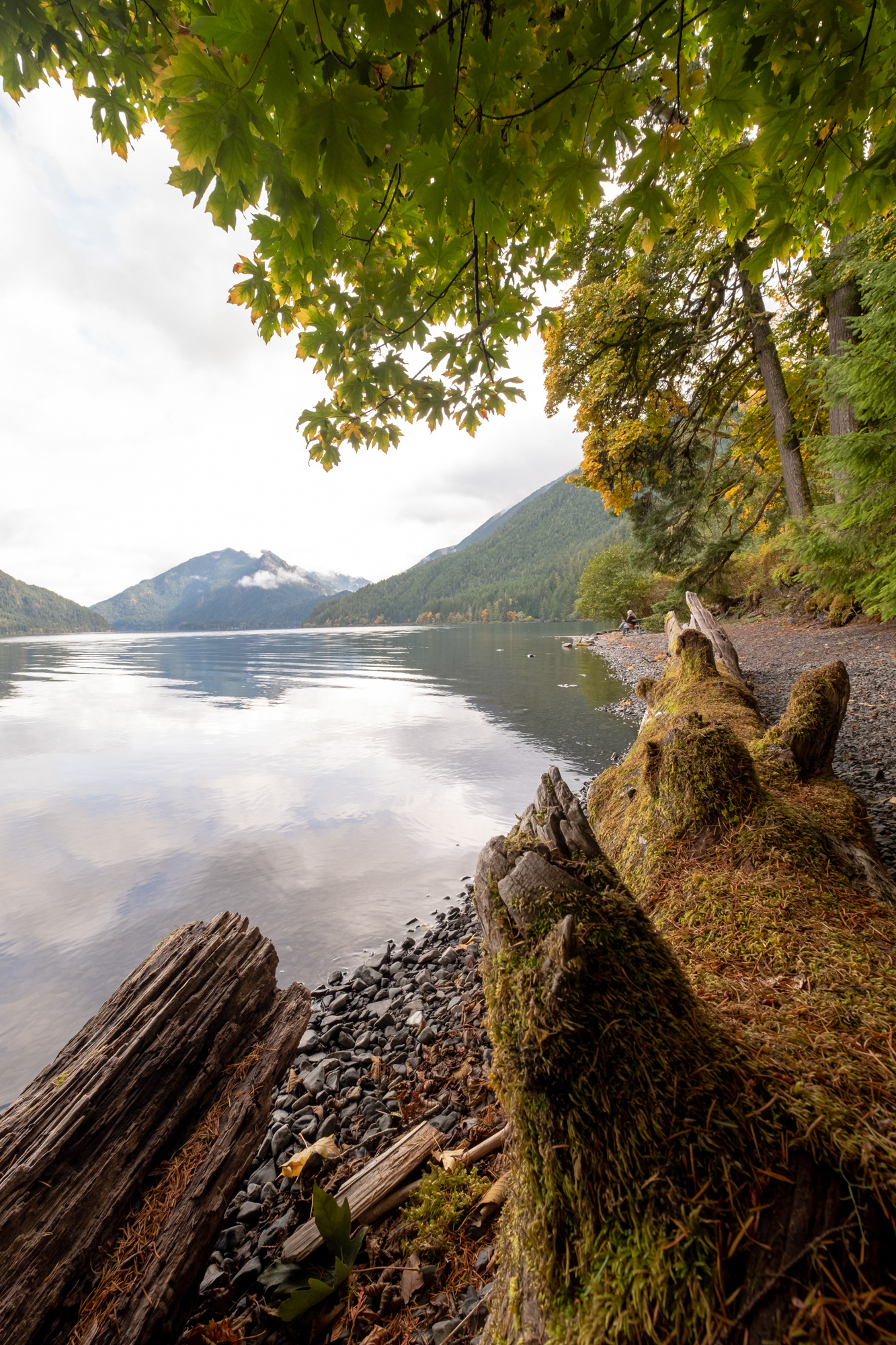 Lago Crescent, Olympic National Park, WA