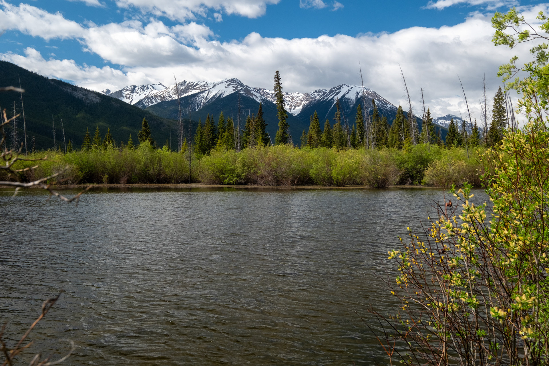 Vermillion Lakes