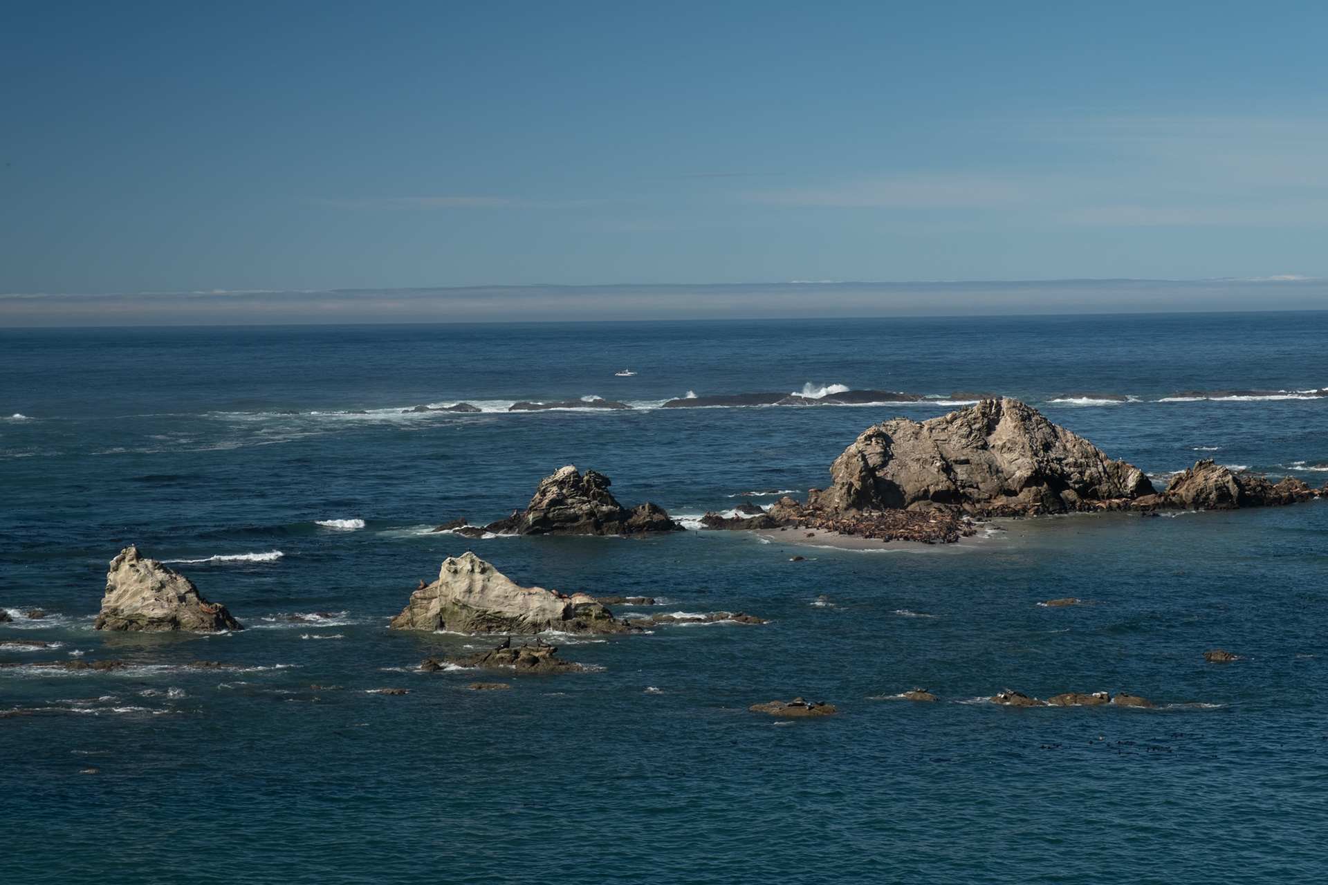 Shore Acres State Park