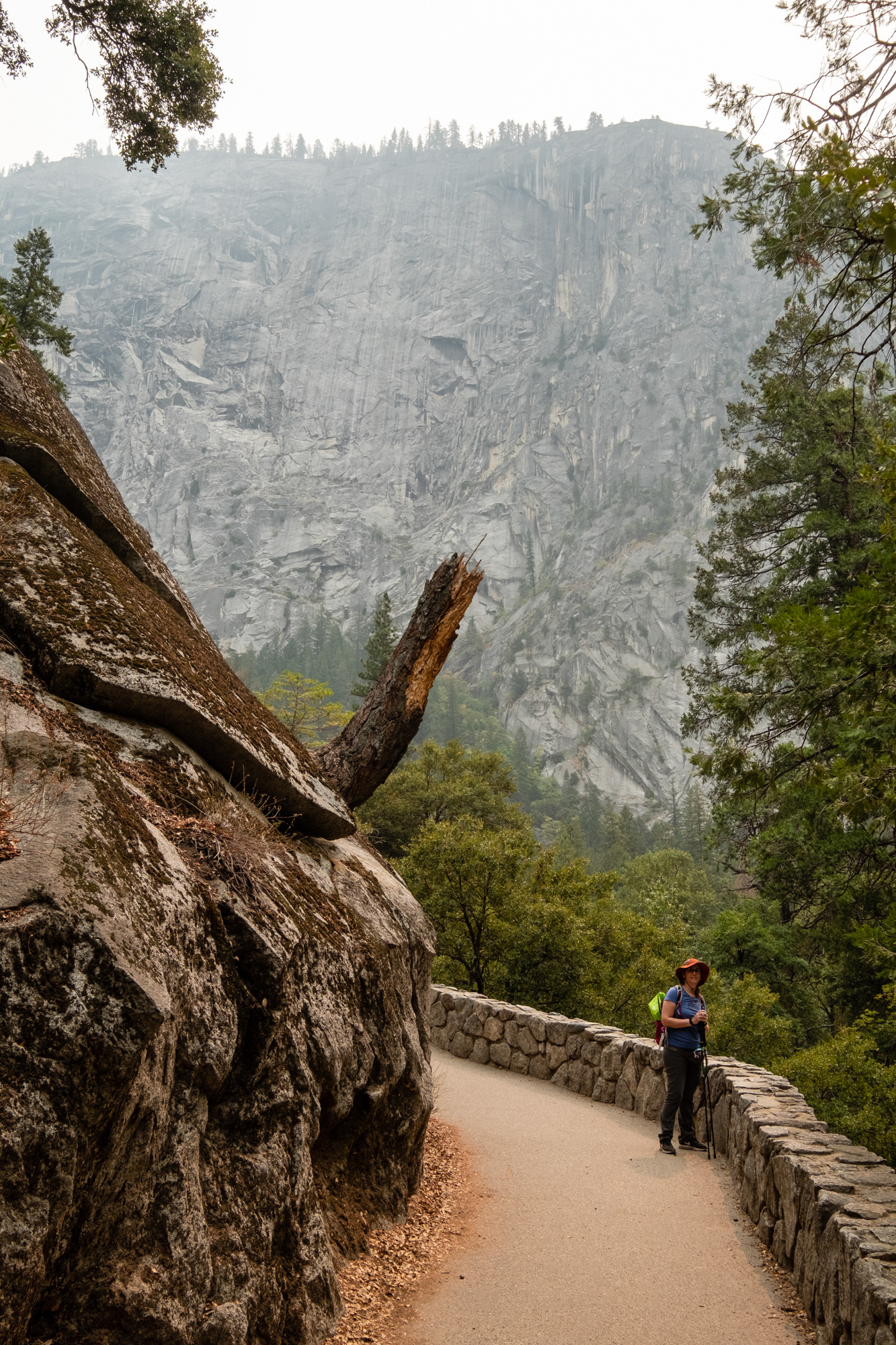 Yosemite - trillo a la cascada Vernal