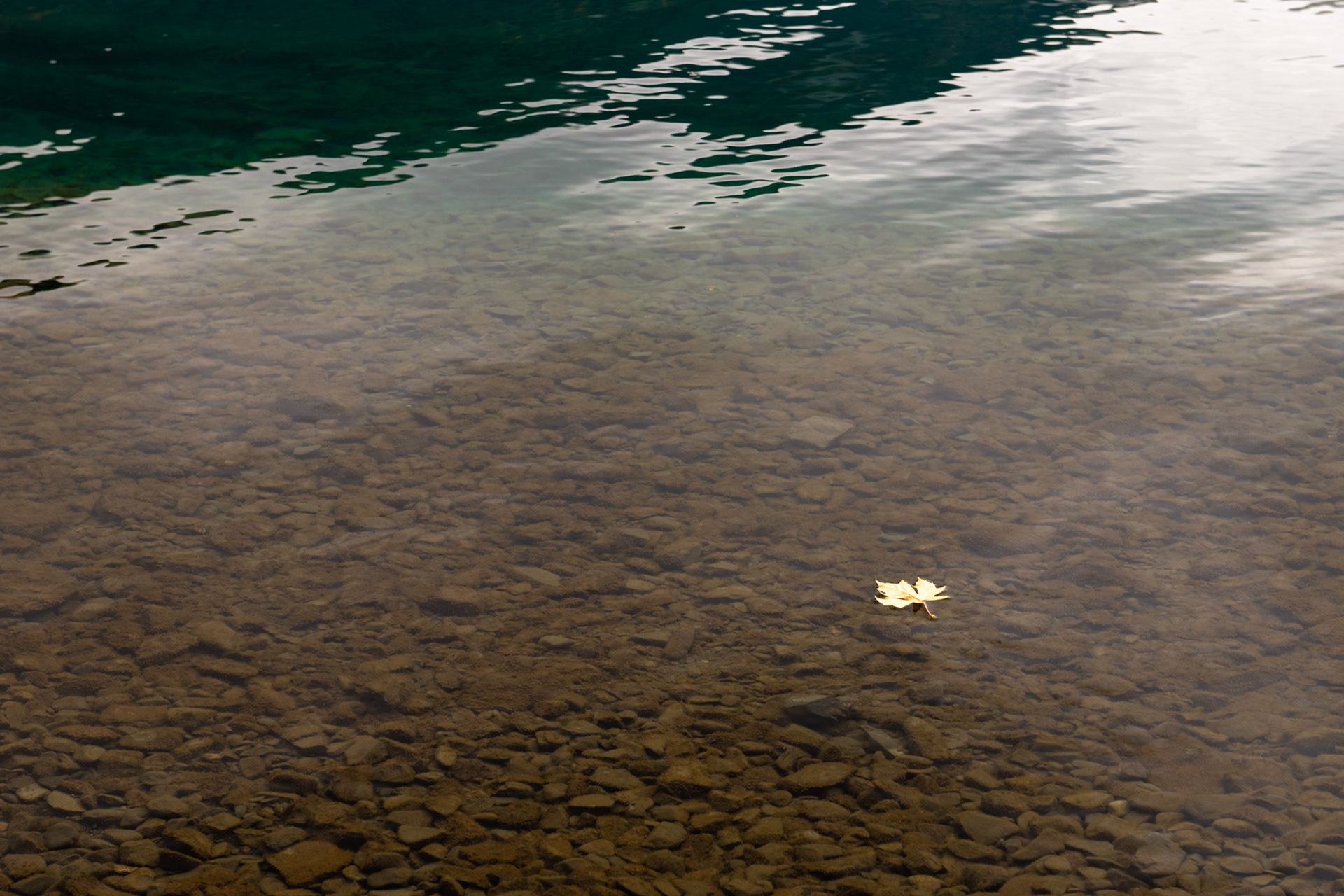 Lago Crescent, Olympic National Park, WA